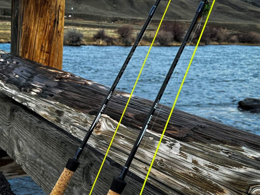 Temple Fork Outfitters Pro III Two-Handed Fly Rod · 11' · 6 wt