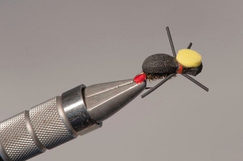 The completed fly has shortened legs and a yellow spot on its head.