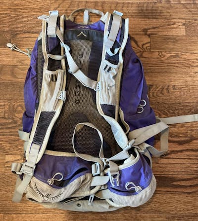 The back of the Osprey Talon 22 backpack. 
