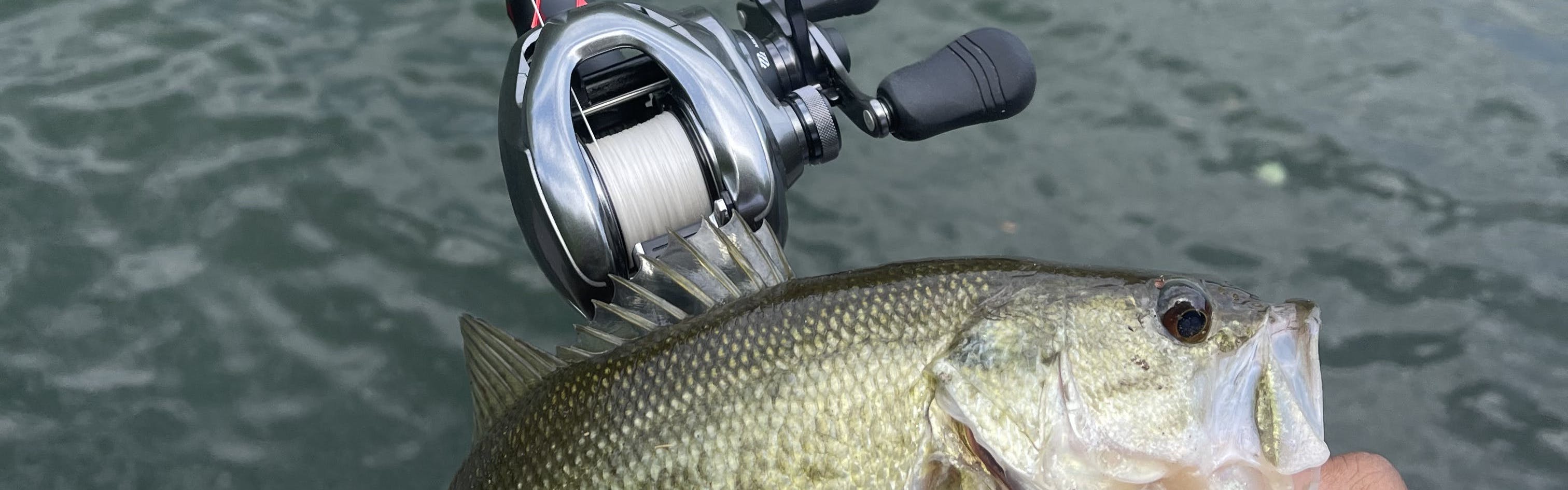 Shimano New Additions to Freshwater Lure Lineup – Guide Fishing
