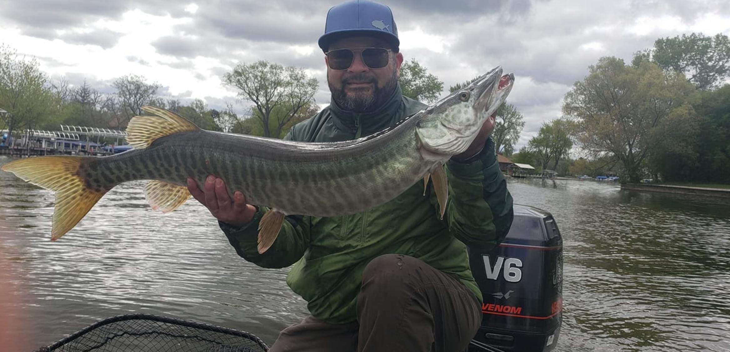 The author holds up a slender 3+ ft long Muskie while sitting in a boat.