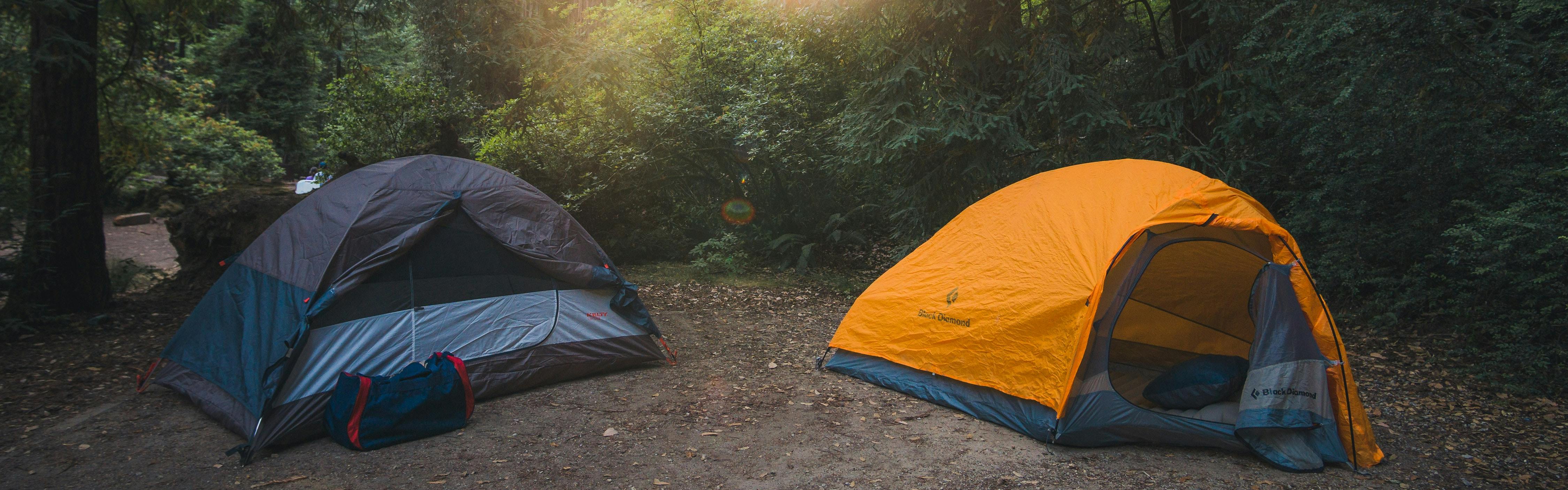 A campsite in a forest with two tents in front of trees