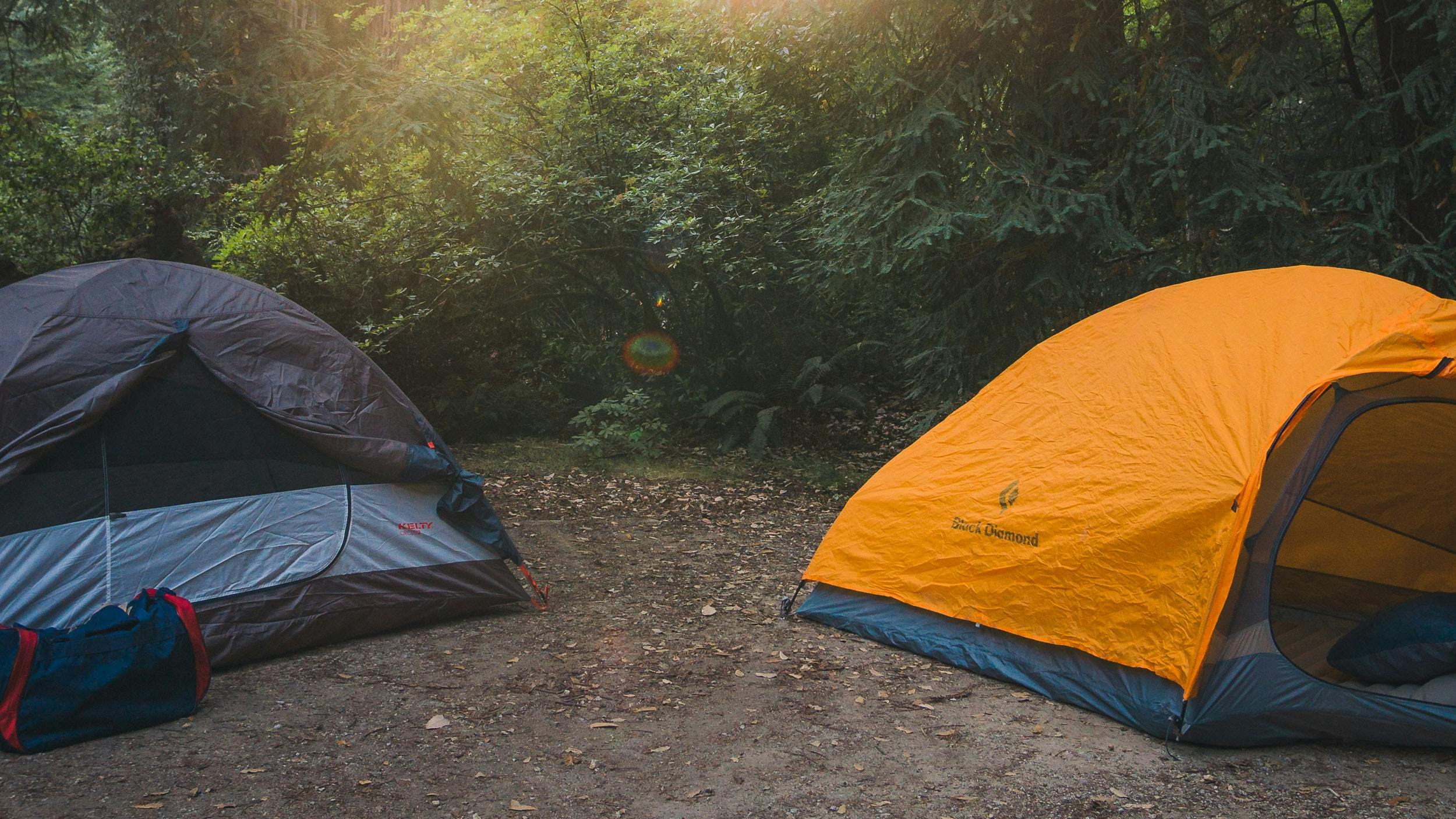A campsite in a forest with two tents in front of trees