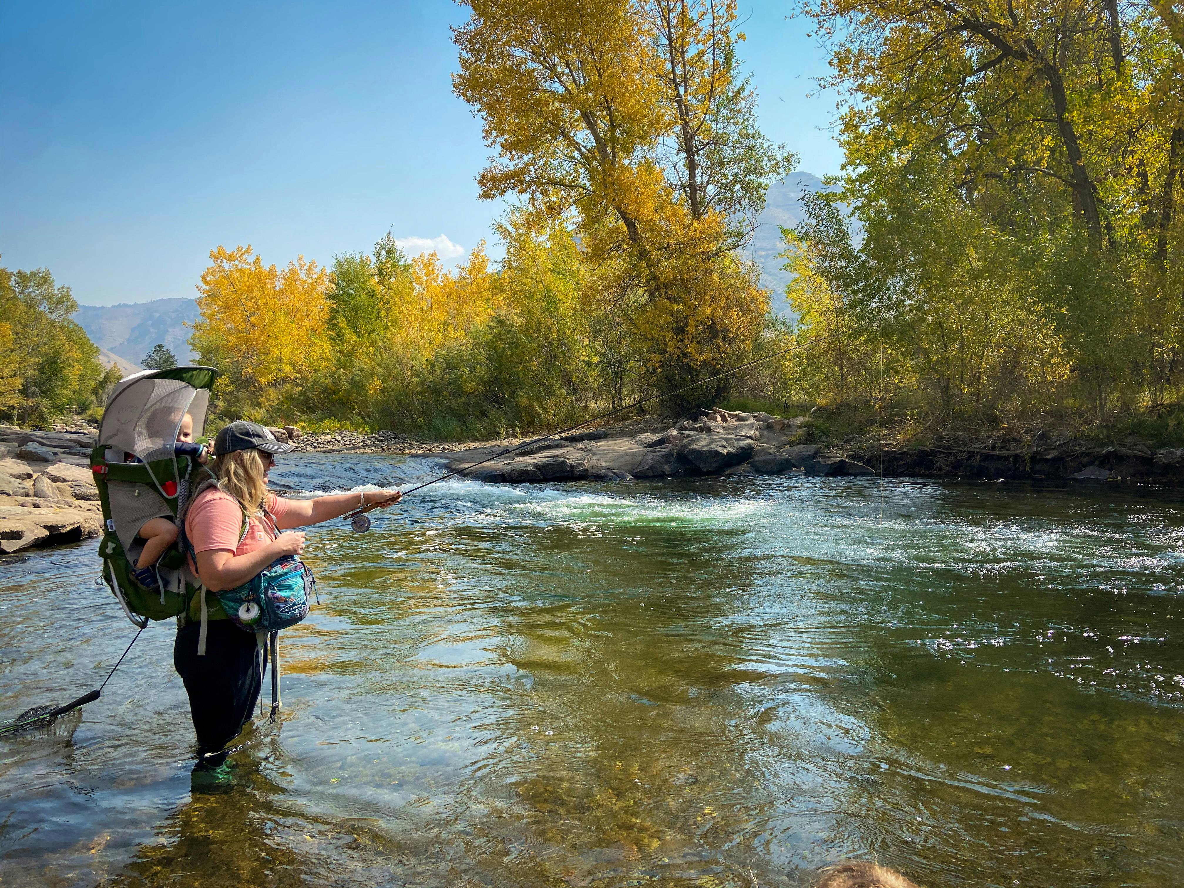 The author stands in a river and fly fishes with her son on her back in a baby carrier. The sky is bright blue and the trees in the background are a blend of green and yellow.