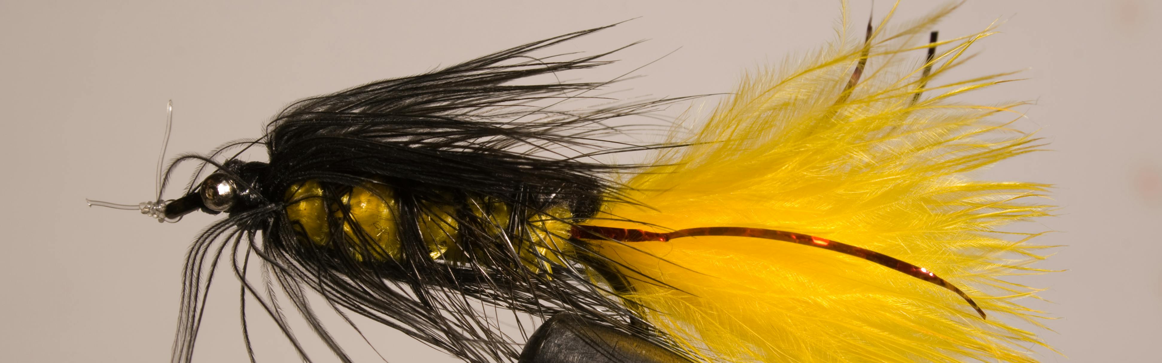A close-up image of a Mosca woolly bugger fly.