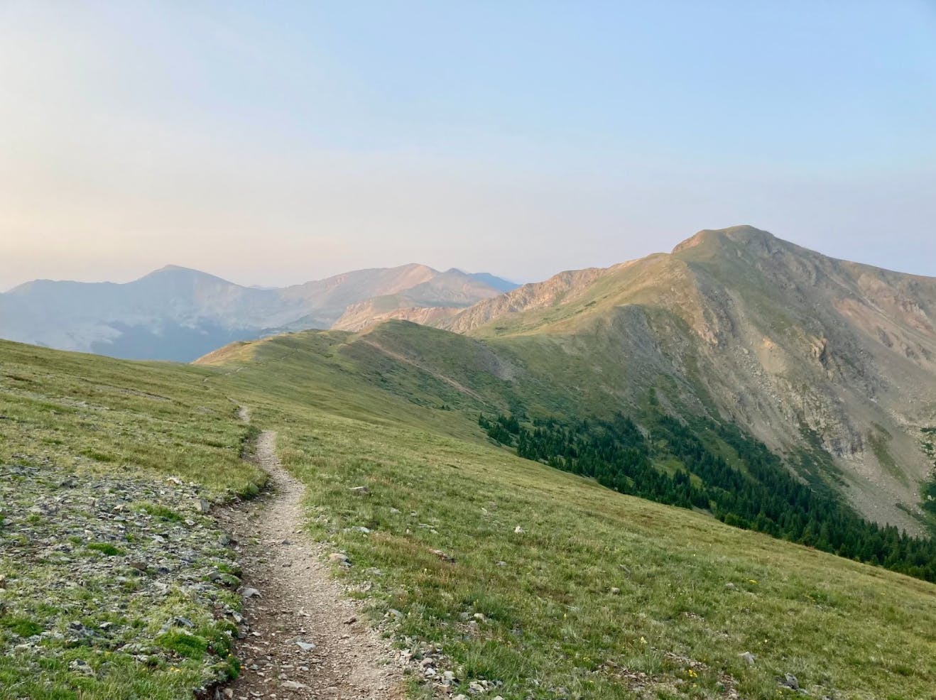 Travel Mug - Colorado Trail Foundation