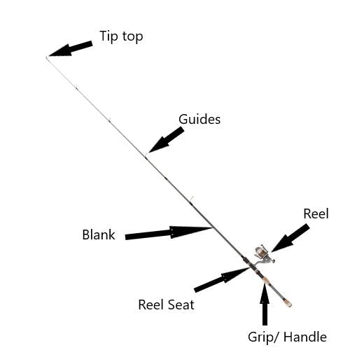 Figure showing the anatomy of a rod, including the tip top, guides, blank, reel, reel seat, and grip/handle