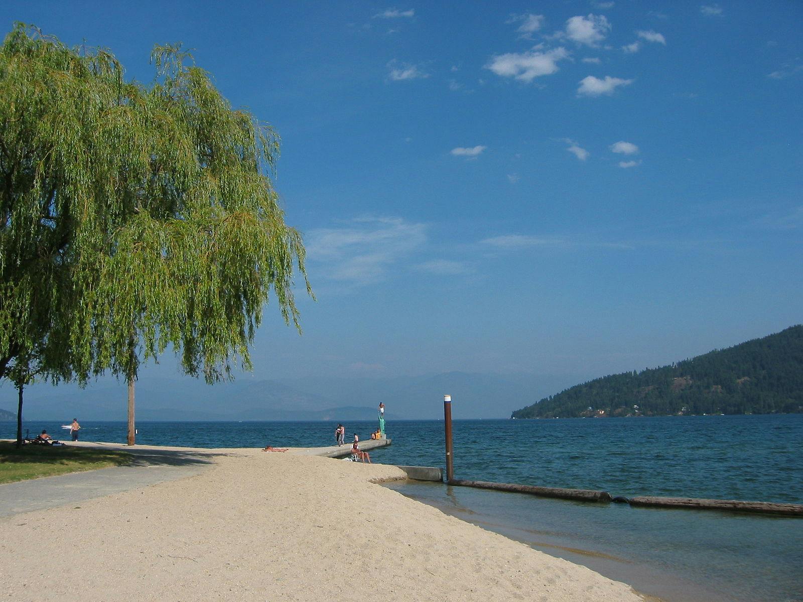 A beach on the lake. A giant willow shades part of the beach.