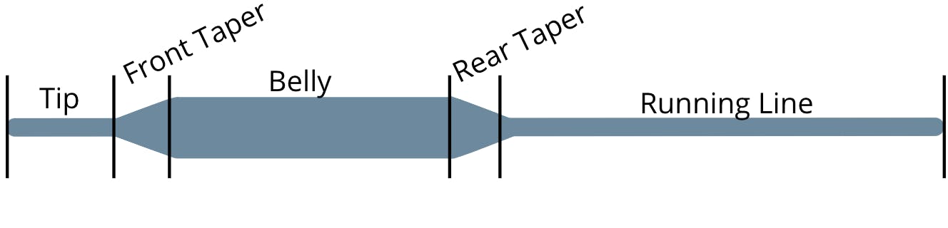 Diagram showing the tip, taper, belly, rear taper, and running line on a fly line. 