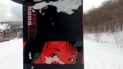 Closeup on the topsheet graphic of the Yes Type snowboard, including the top half of a women's face