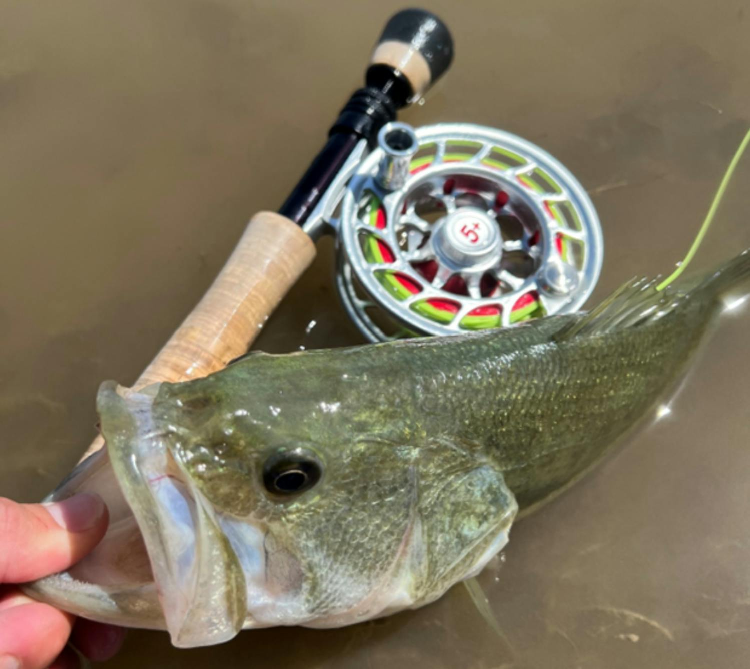 Expert Review: Hatch Iconic 5+ Reel