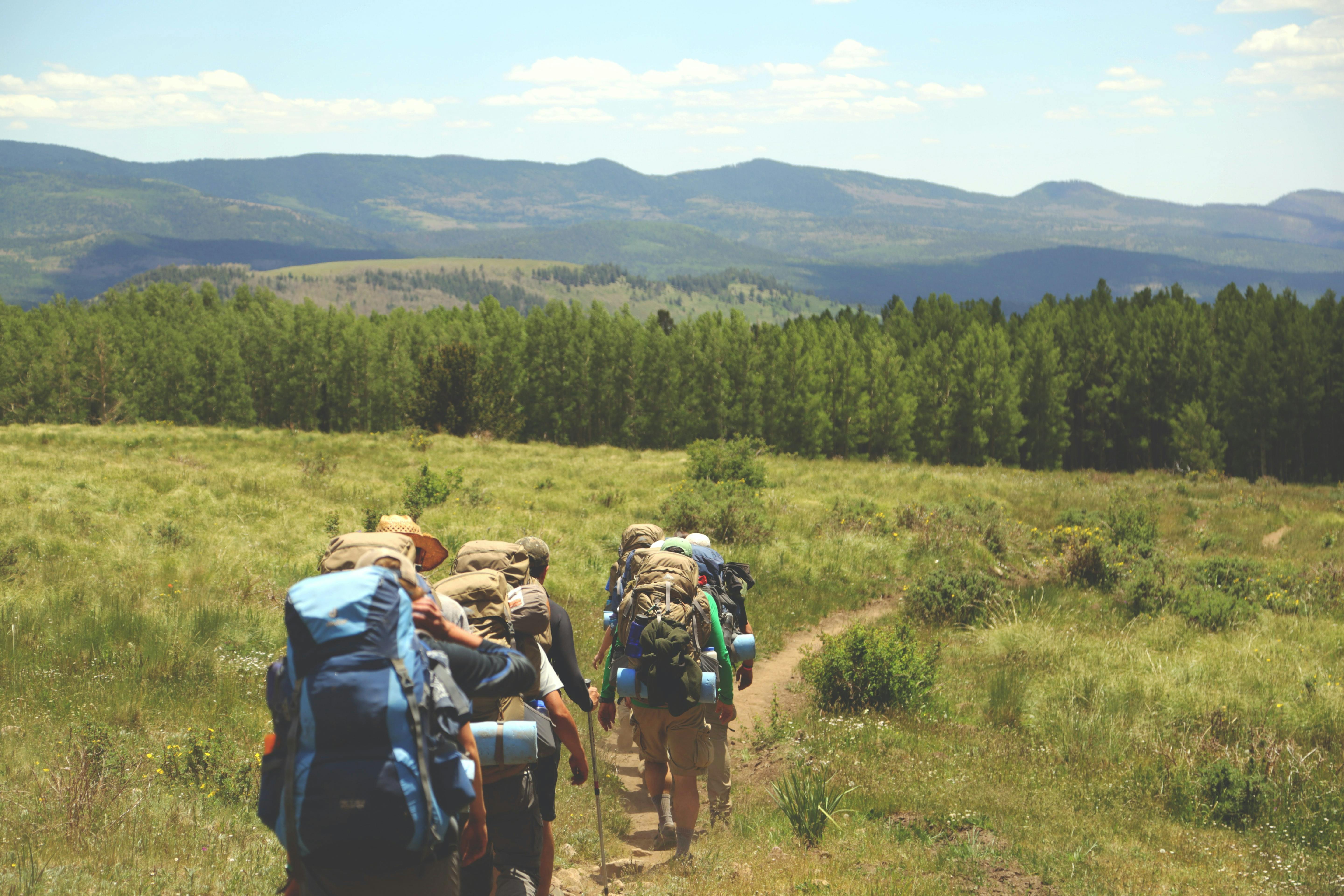 A group of backpackers walk in a line down a dirt trail in the middle of a meadow. 