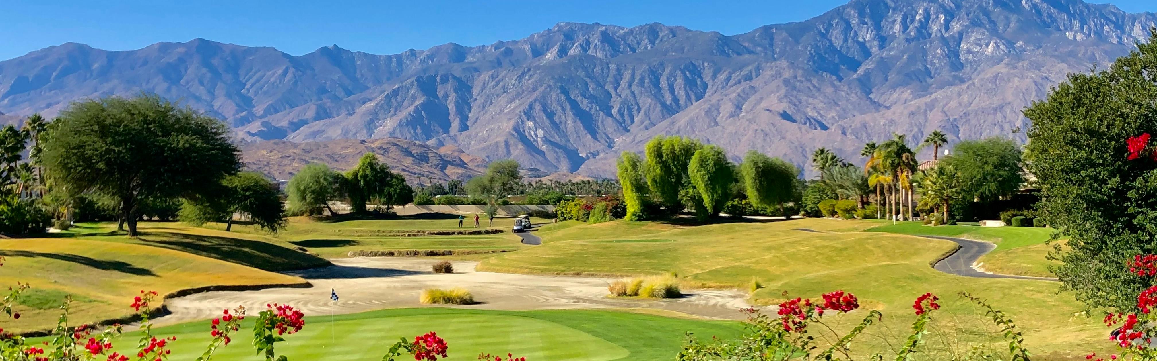 Red-pink flowers rise in the foreground and in the background, a golf course stretches out with rugged arid mountains in the distance.