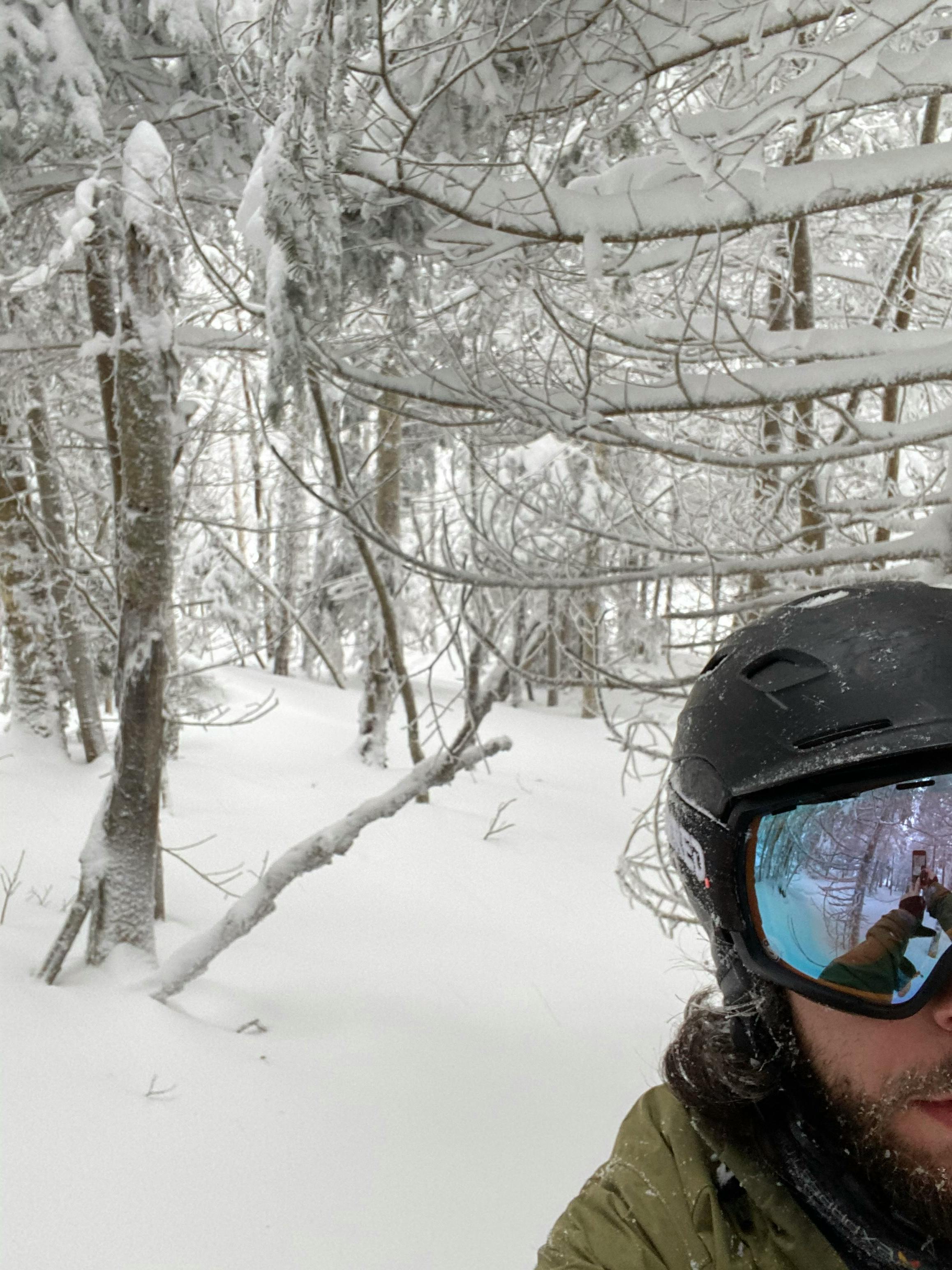 Curated expert Michael Biasuzzi in a snowy forest