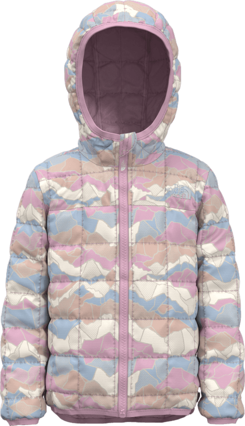 The North Face Toddler ThermoBall Eco Hoodie