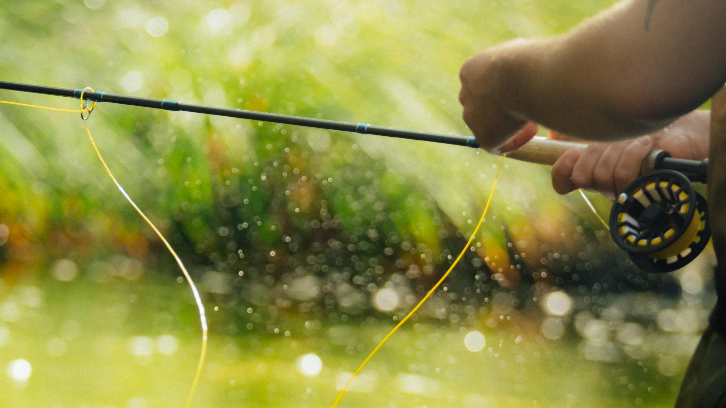 A man fly fishing with fly line visible.