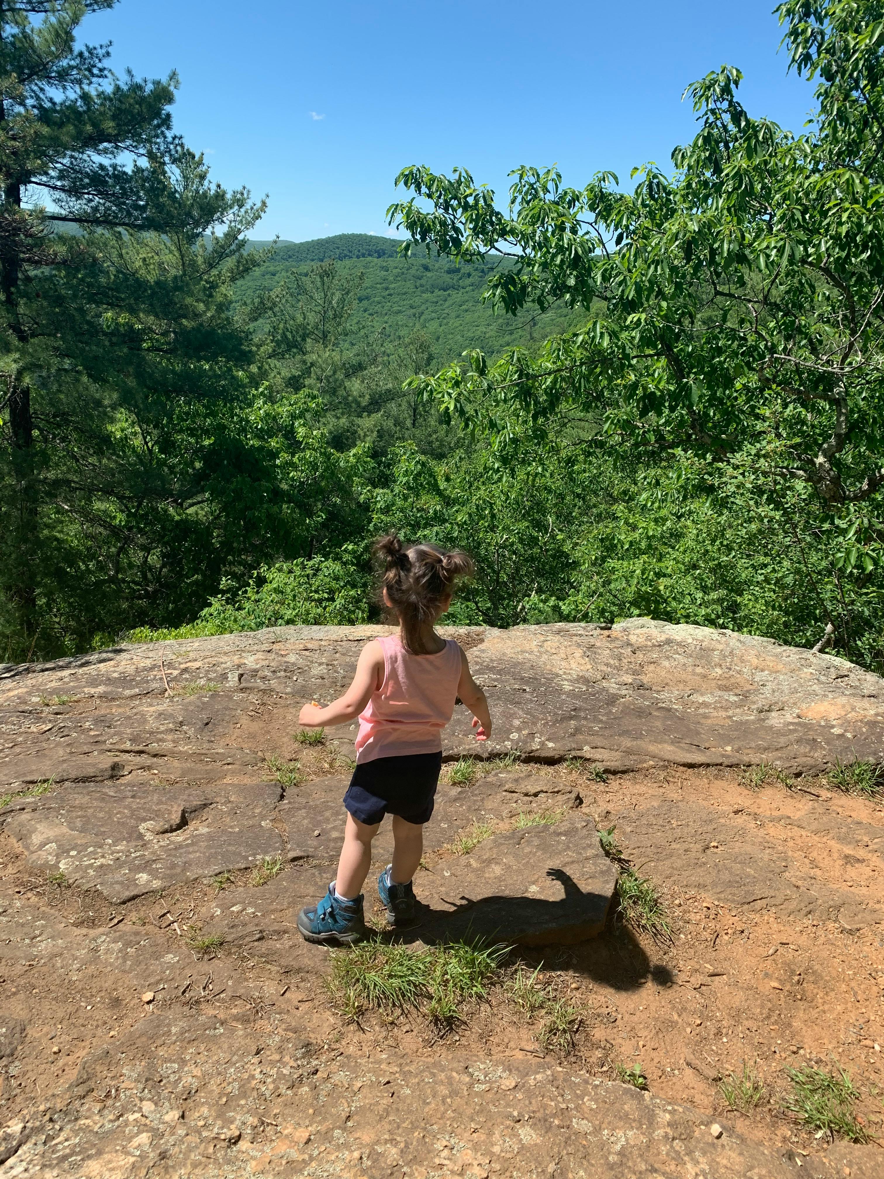 A little girl with pigtails stands on a rock and looks out at a hilly wooded area