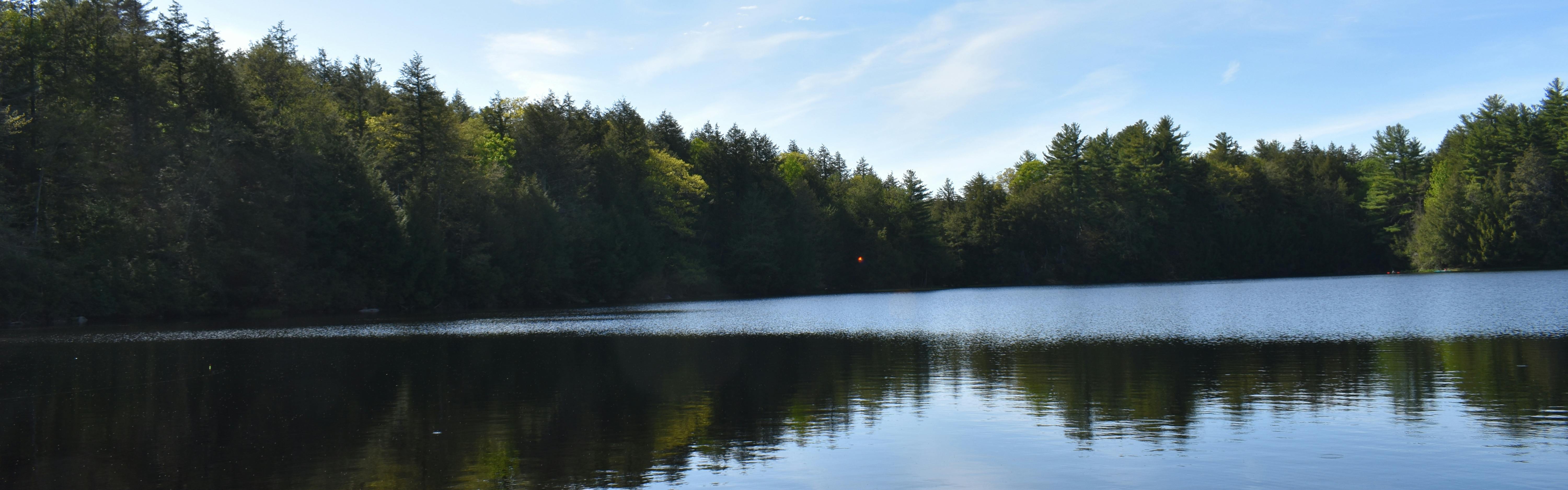A lake reflects its pine-tree-lined edges and baby blue sky.  There are a few wispy clouds in the sky. 