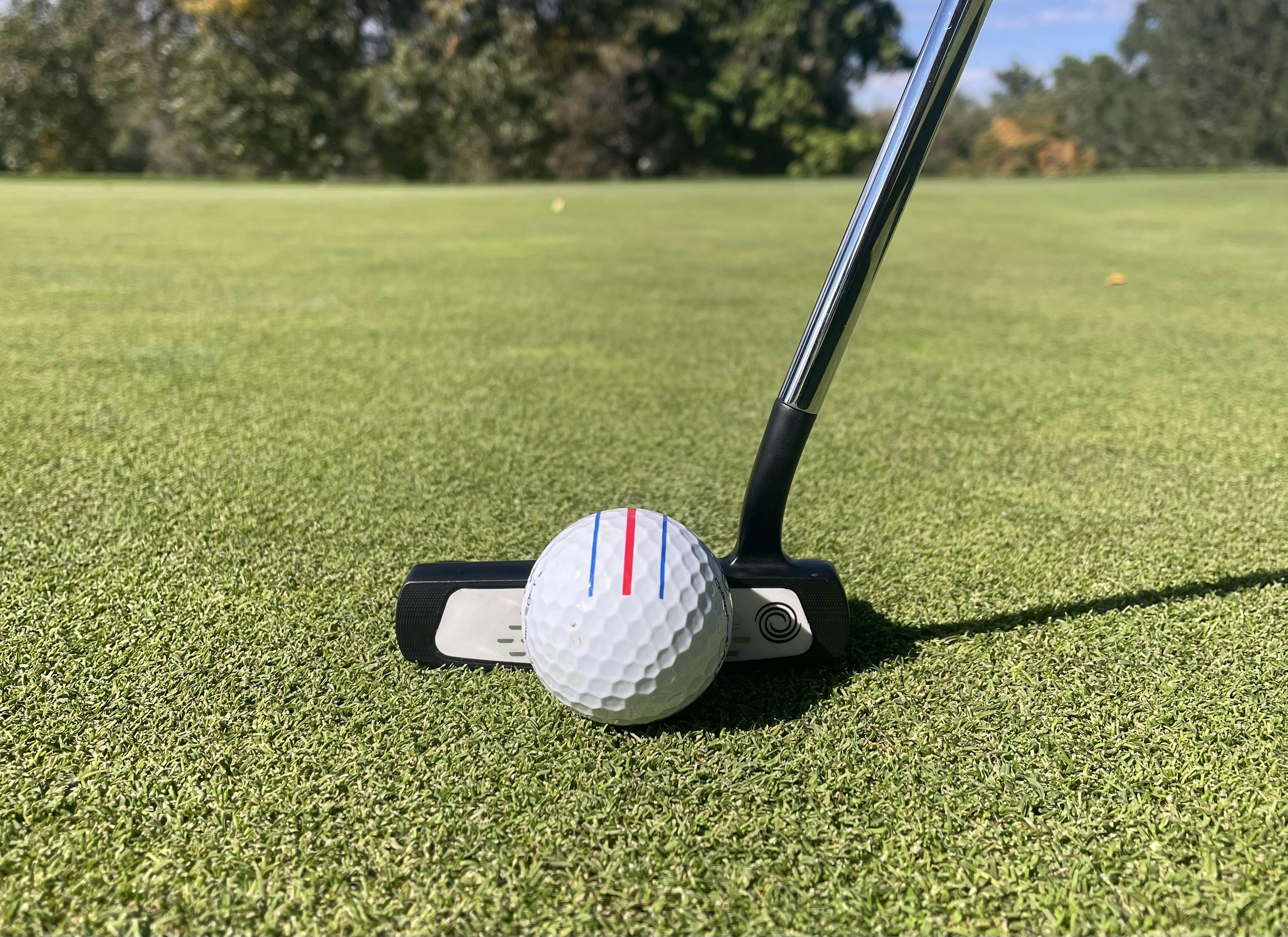 Expert Review: Odyssey Stroke Lab Double Wide Putter | Curated.com