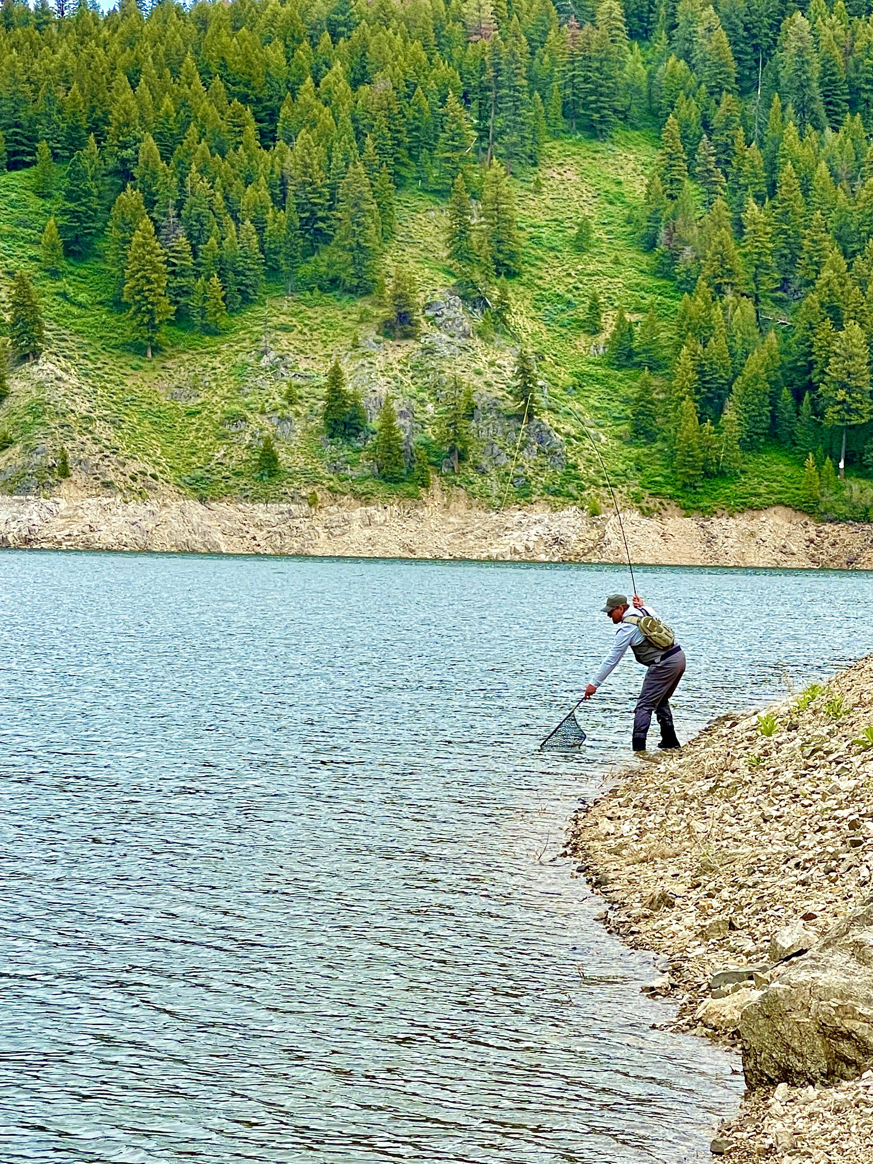 A man using a fishing net on the edge of a body of water.