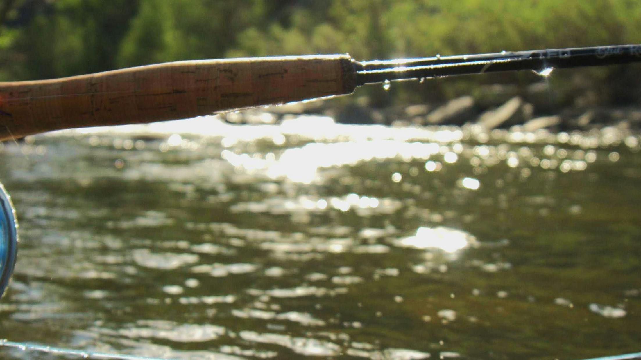The Temple Fork Outfitters Blue Ribbon Fly Rod.