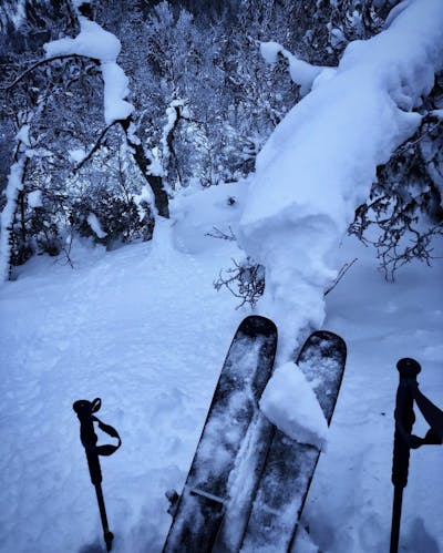 Tips of the  Armada Declivity 102 TI Skis · 2021 above a snowy run.