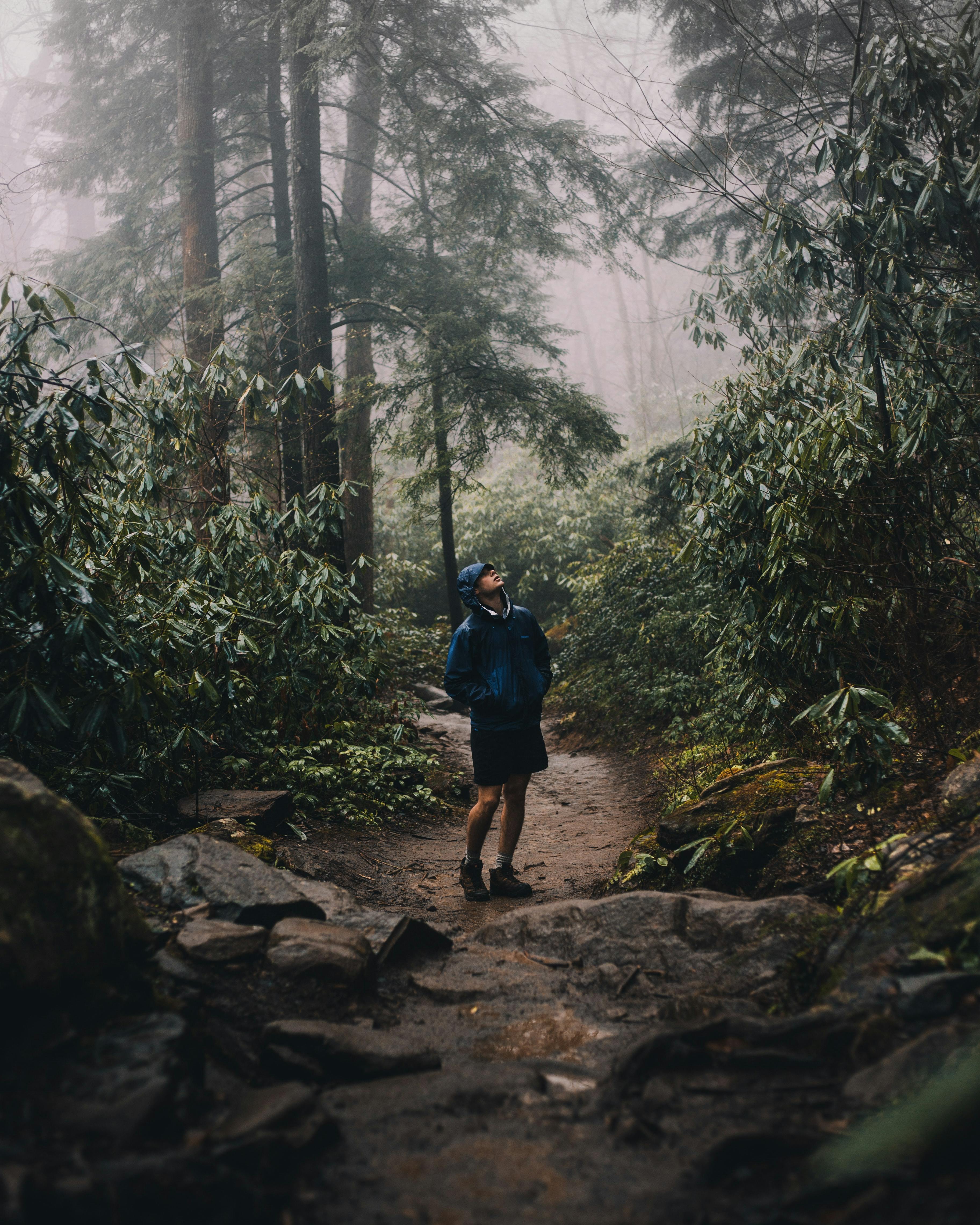 A man hikes in the middle of a rainy trail, looking up at the storm-darkened trees around him. 