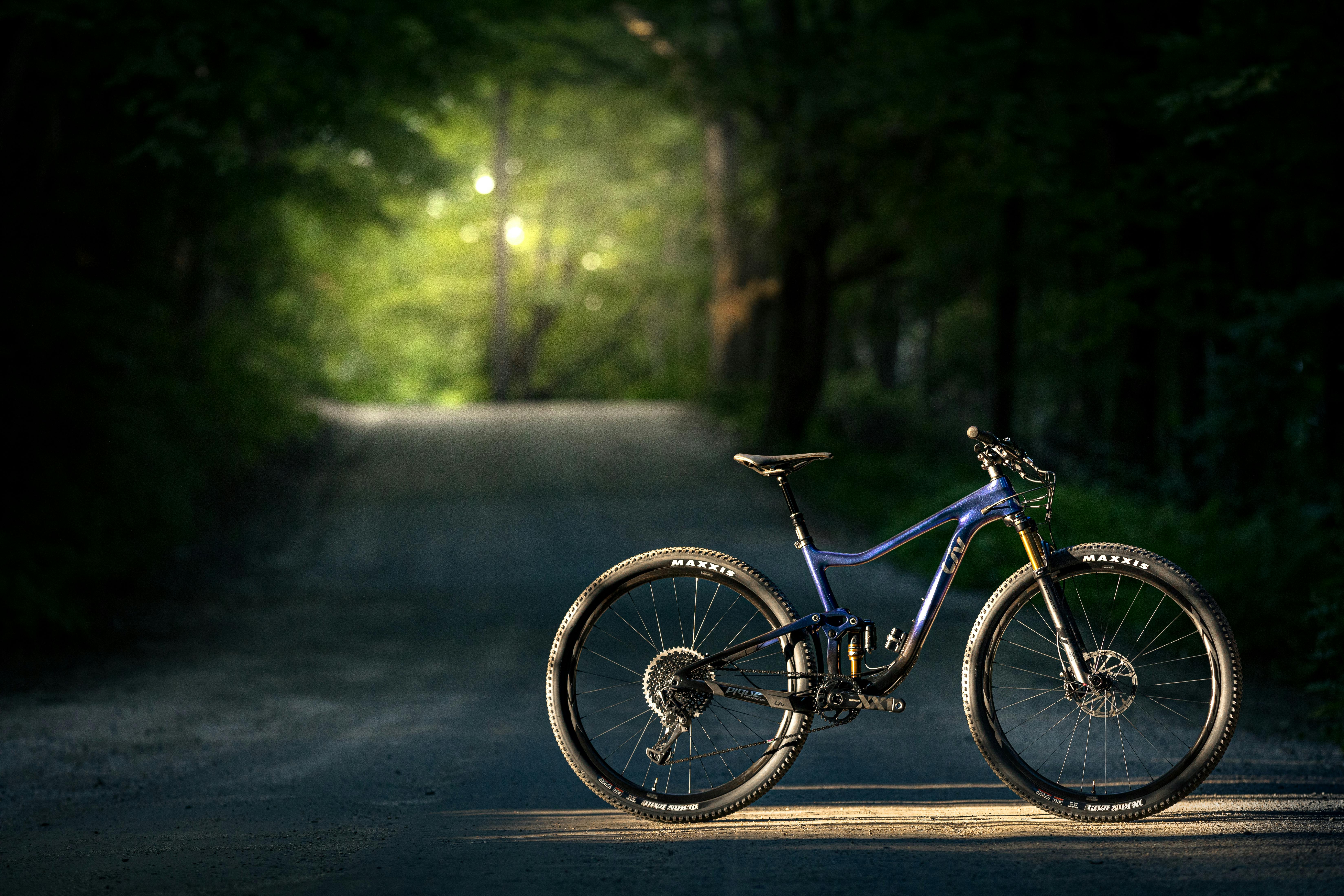A mountain bike made by Liv Cycling standing on a road and illuminated by the sun with a dark forest tunnel in the background.