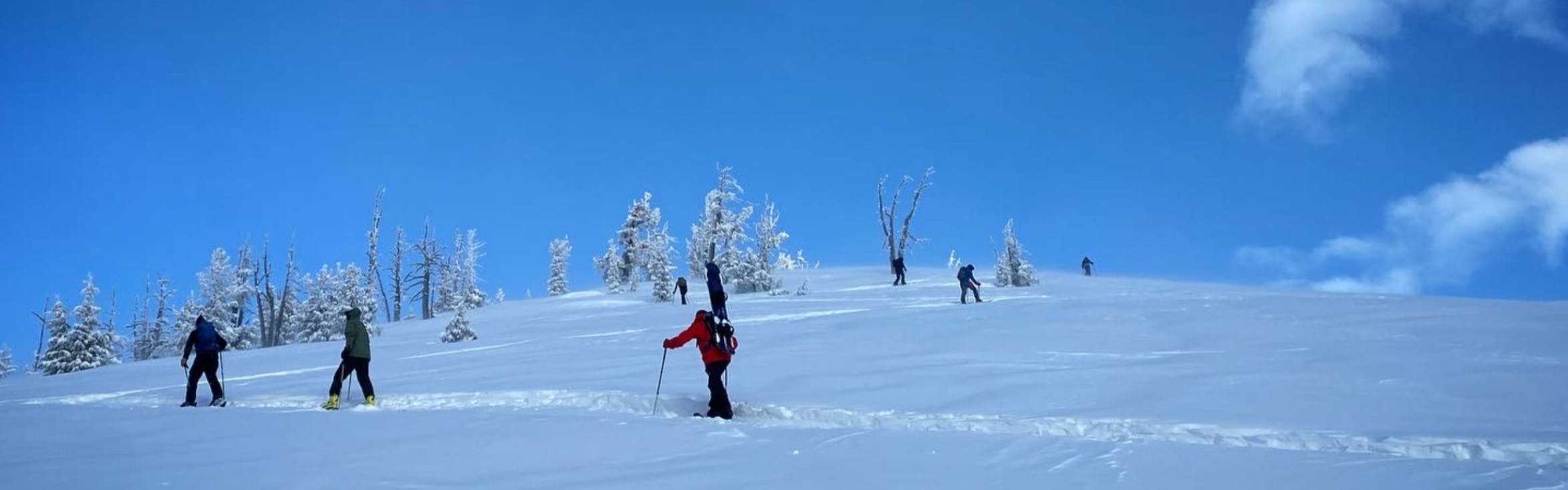 Several skiers walking up a snowy ski hill. 