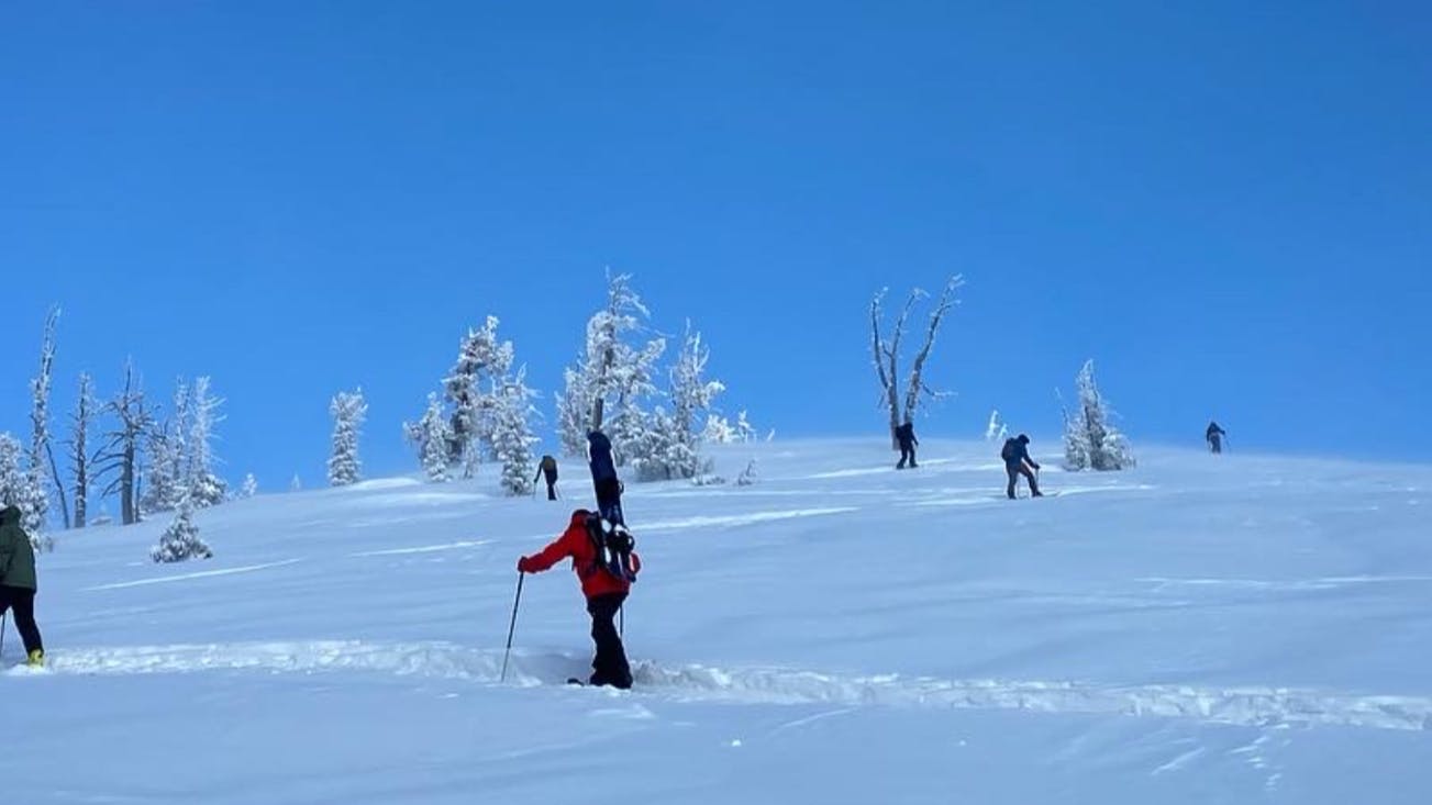 Several skiers walking up a snowy ski hill. 