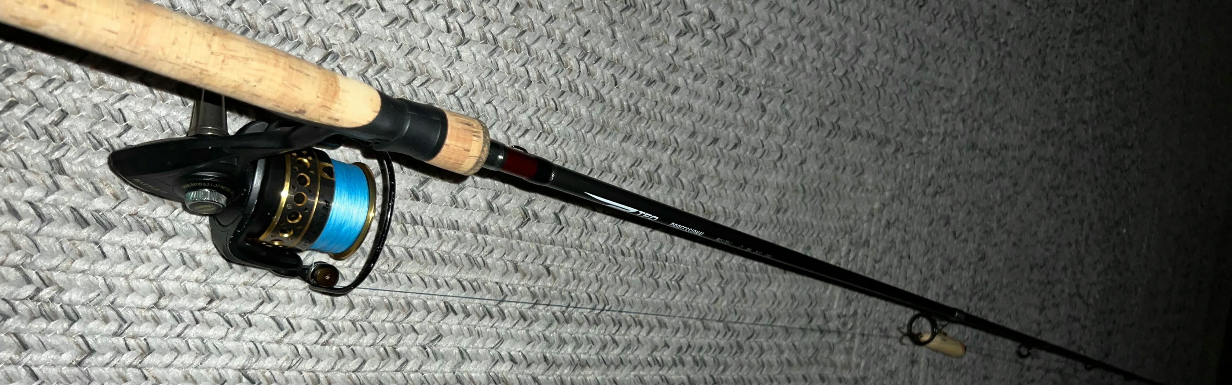 TFO UL Trout Panfish Spinning Rod (5'6, One Piece) : : Sports &  Outdoors