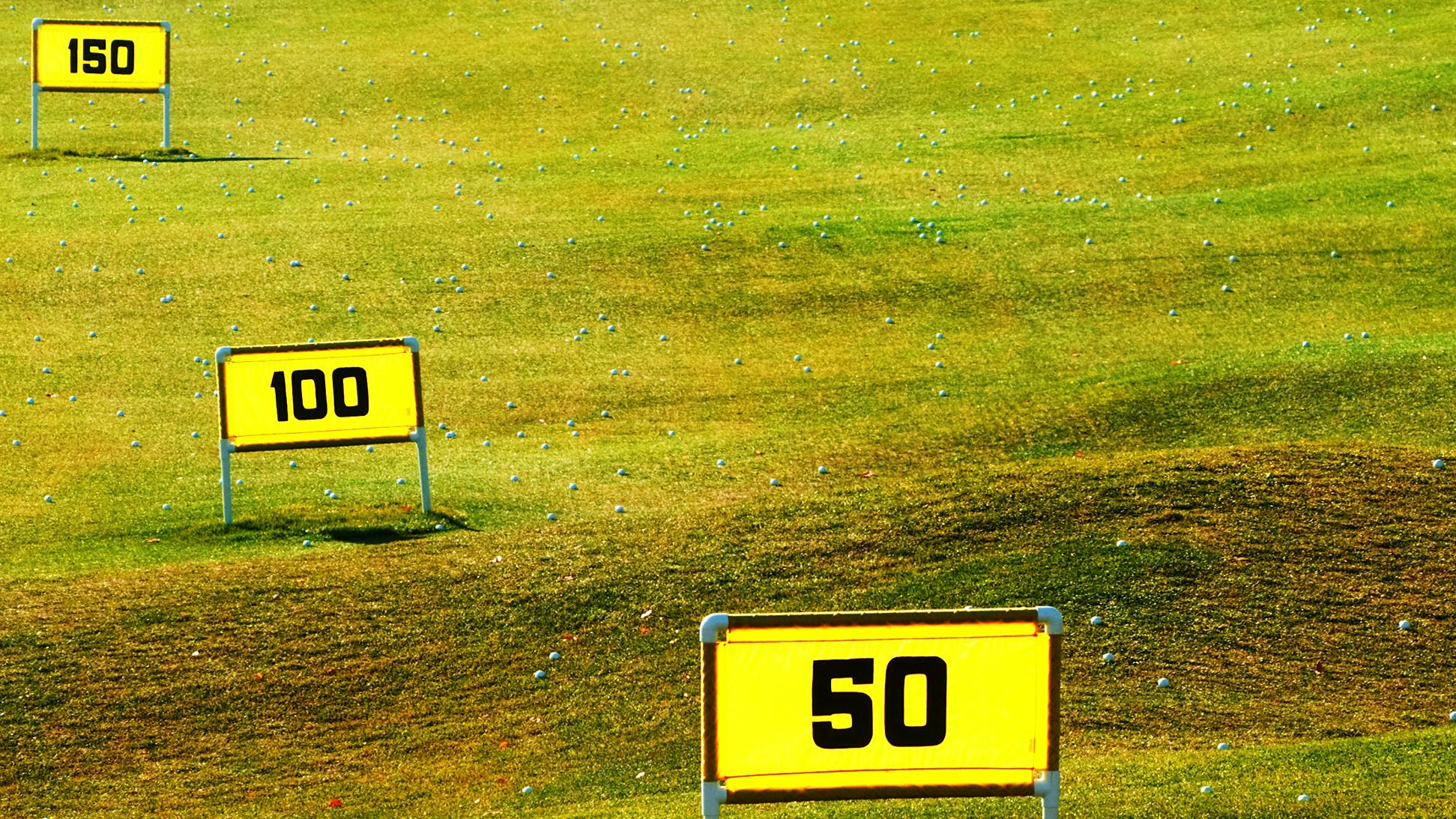 Yellow yardage signs on a golf course. The course is sprinkled with golf balls. 