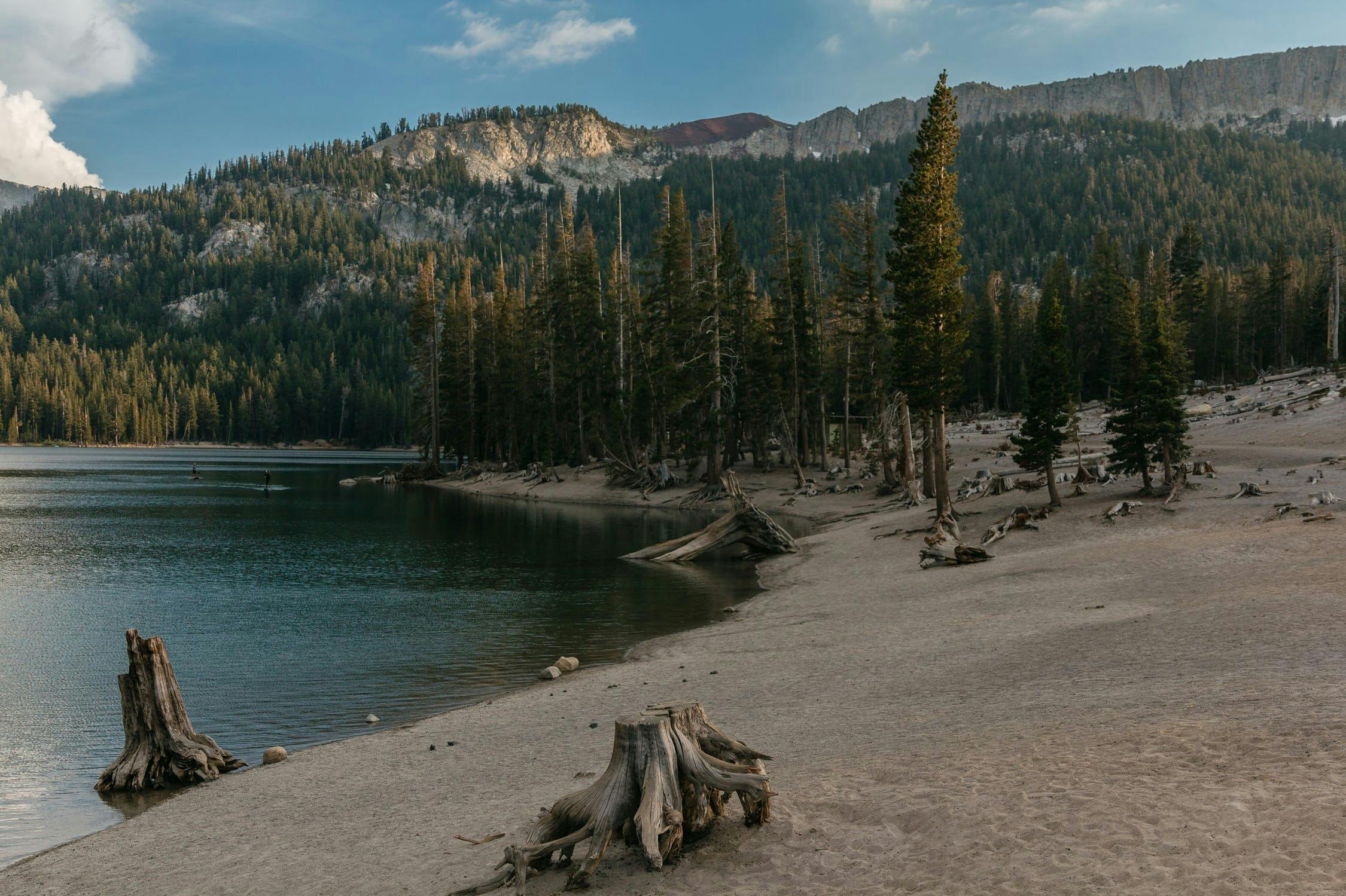 Mammoth Lake, with a beach and tree stumps in the foreground and trees and hills in the background