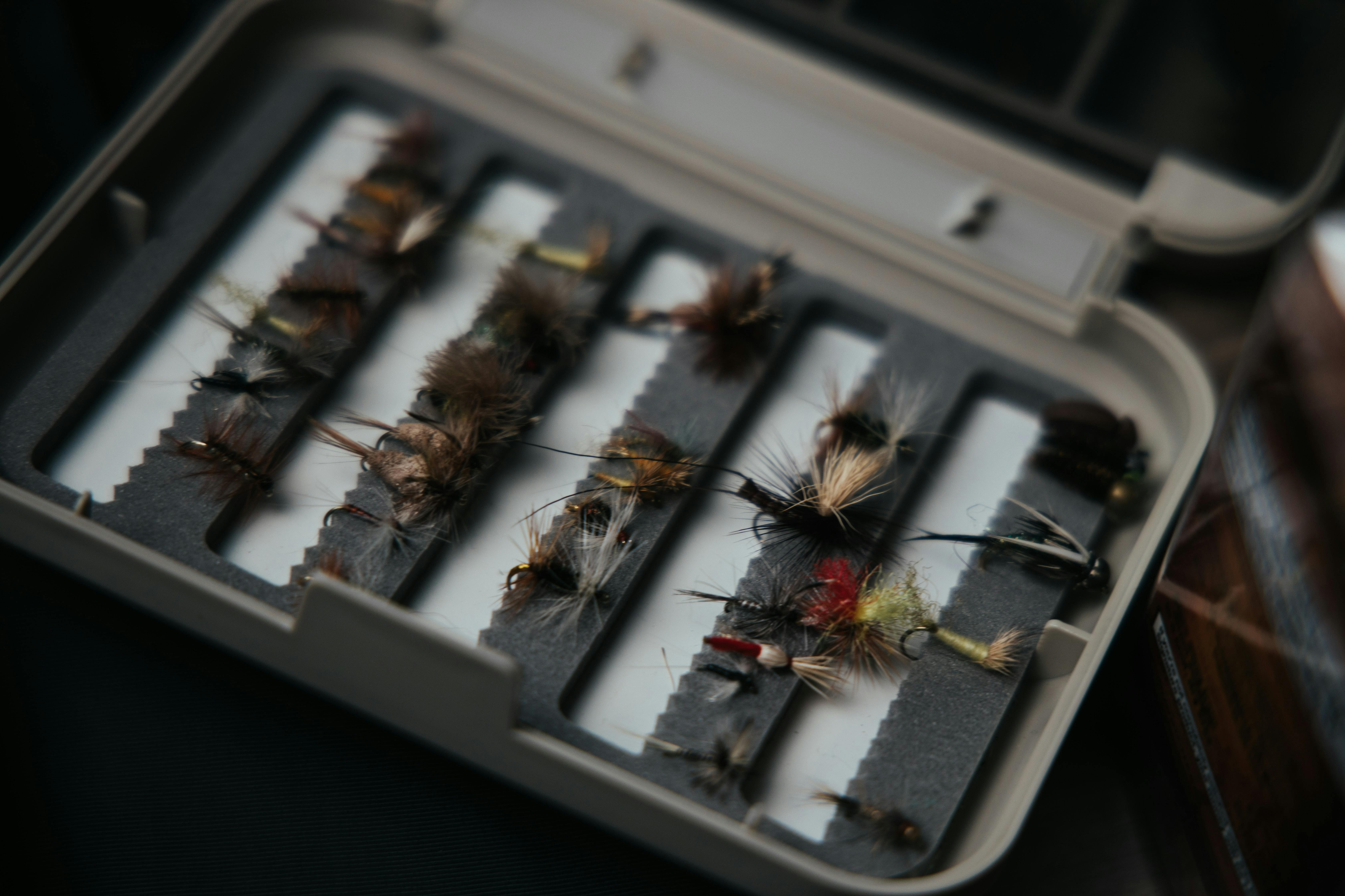 Flies lie in a fly box.