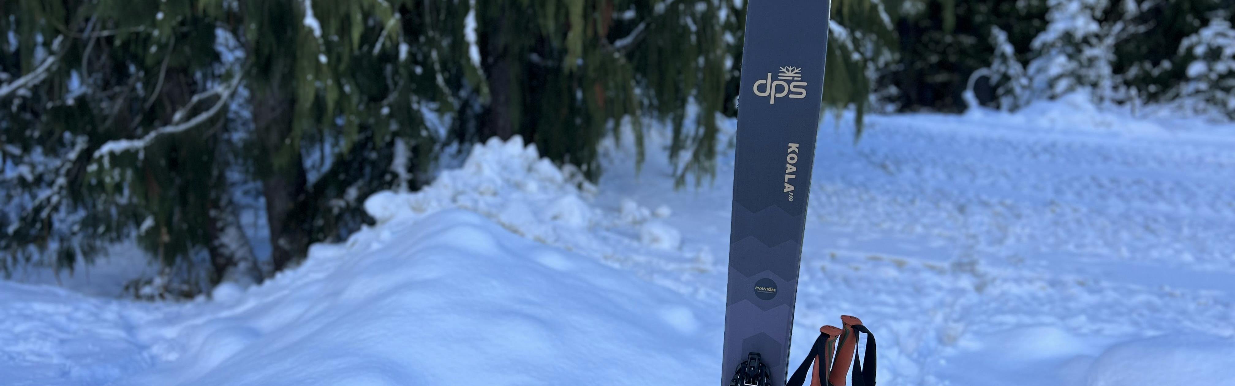 Expert Review: DPS Koala 118 Skis · 2023 | Curated.com
