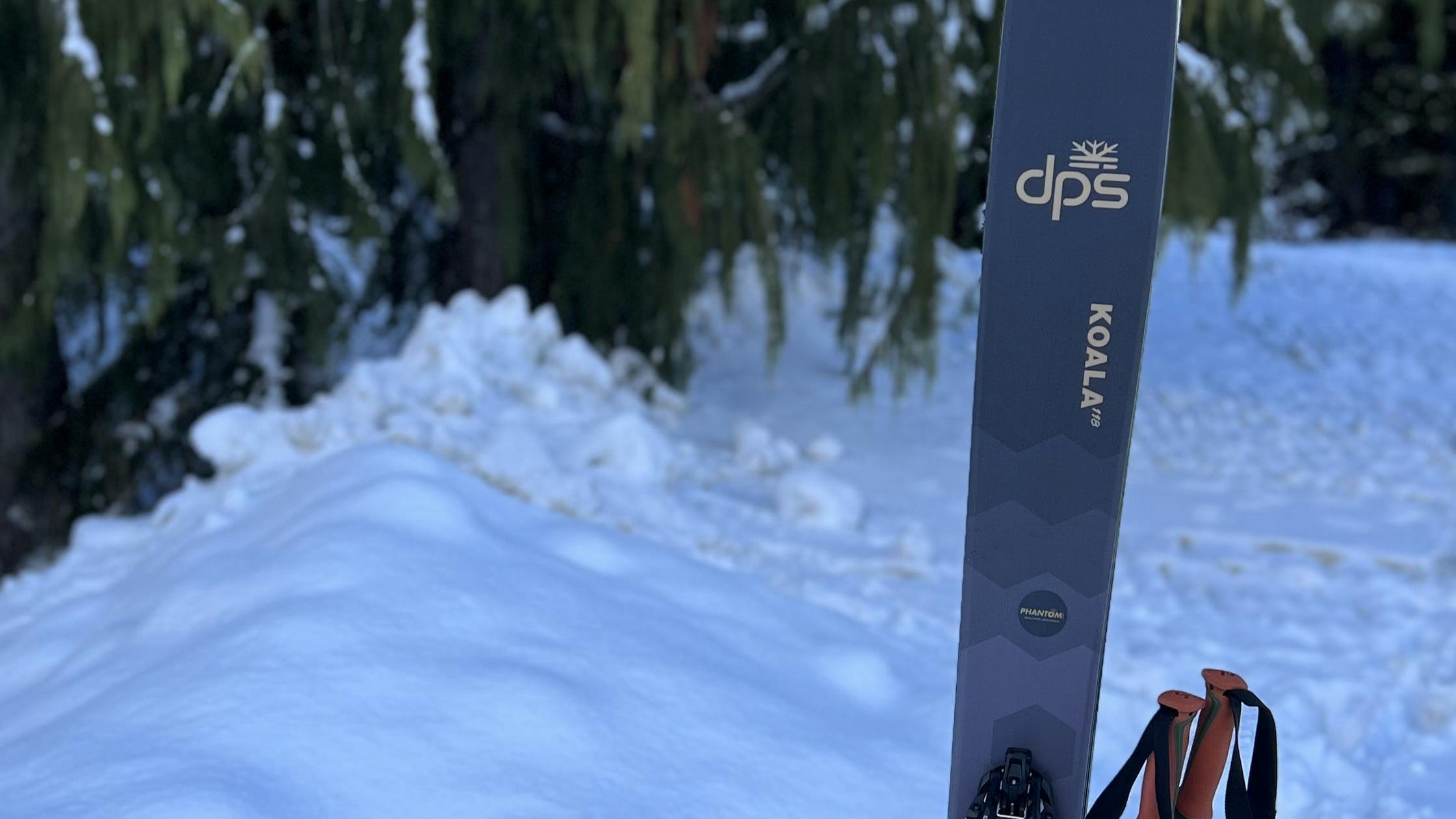 The  DPS Koala 118 Skis · 2023. 