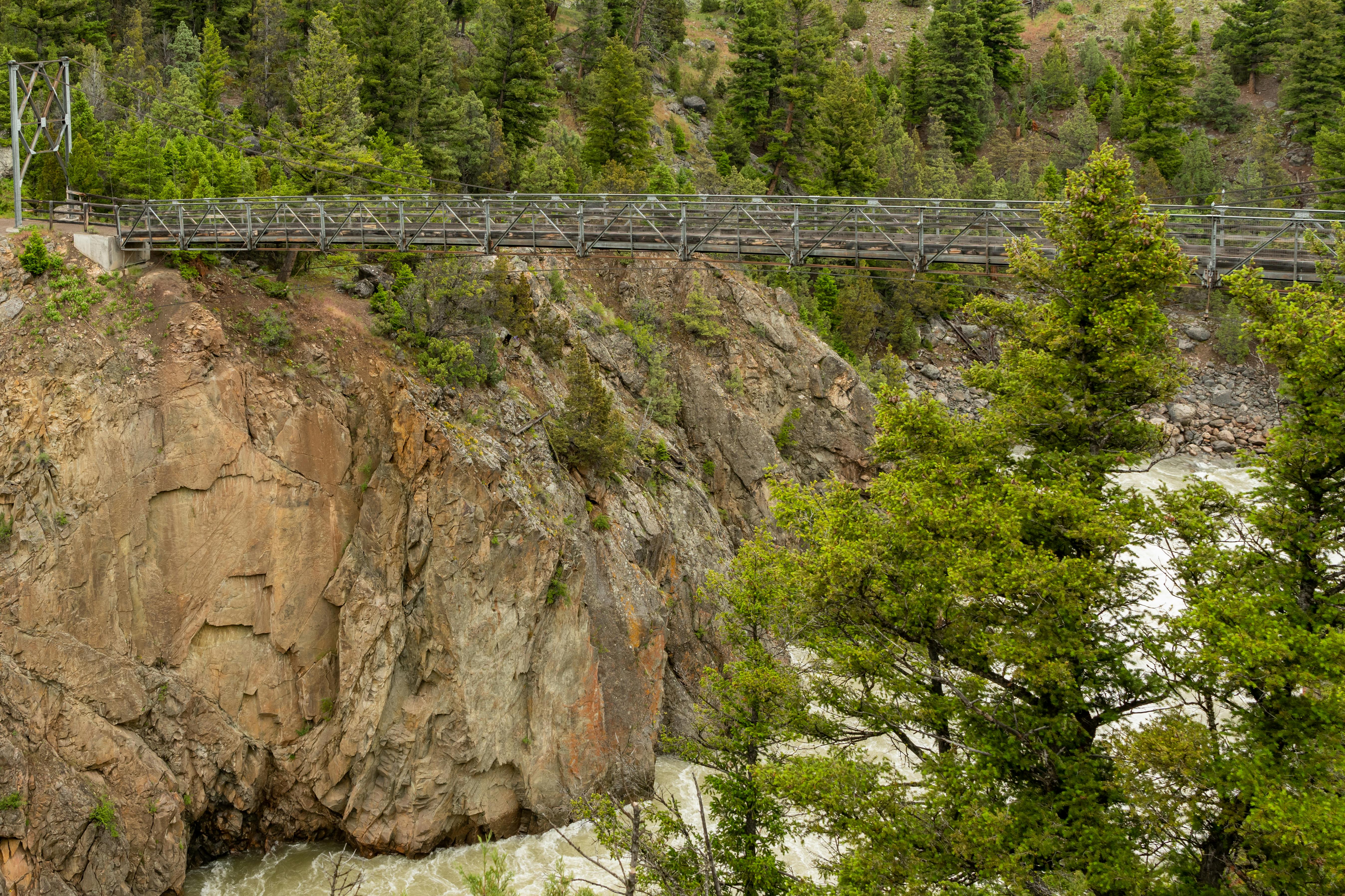 A view of the suspension bridge over Hellroaring Creek