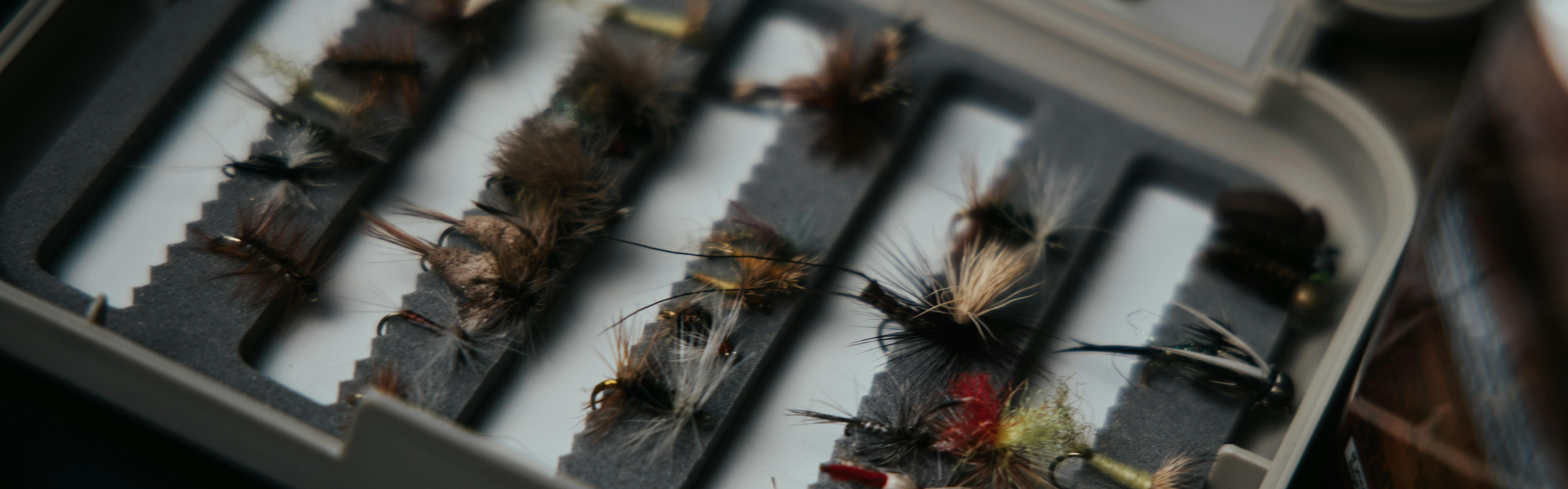 The 14 Best Fly Patterns for Baitfish
