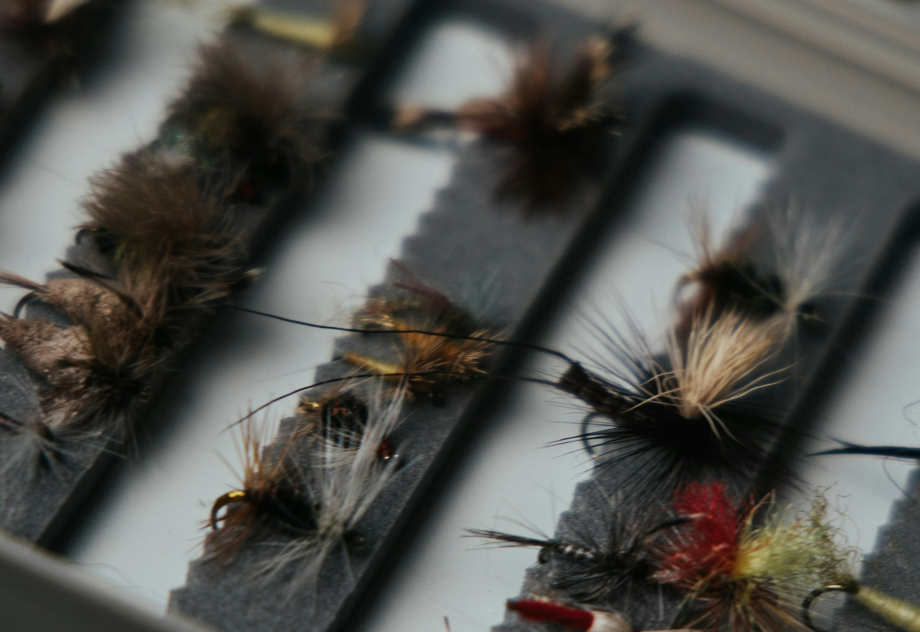 An Expert Guide to the 12 Best Dry Flies | Curated.com