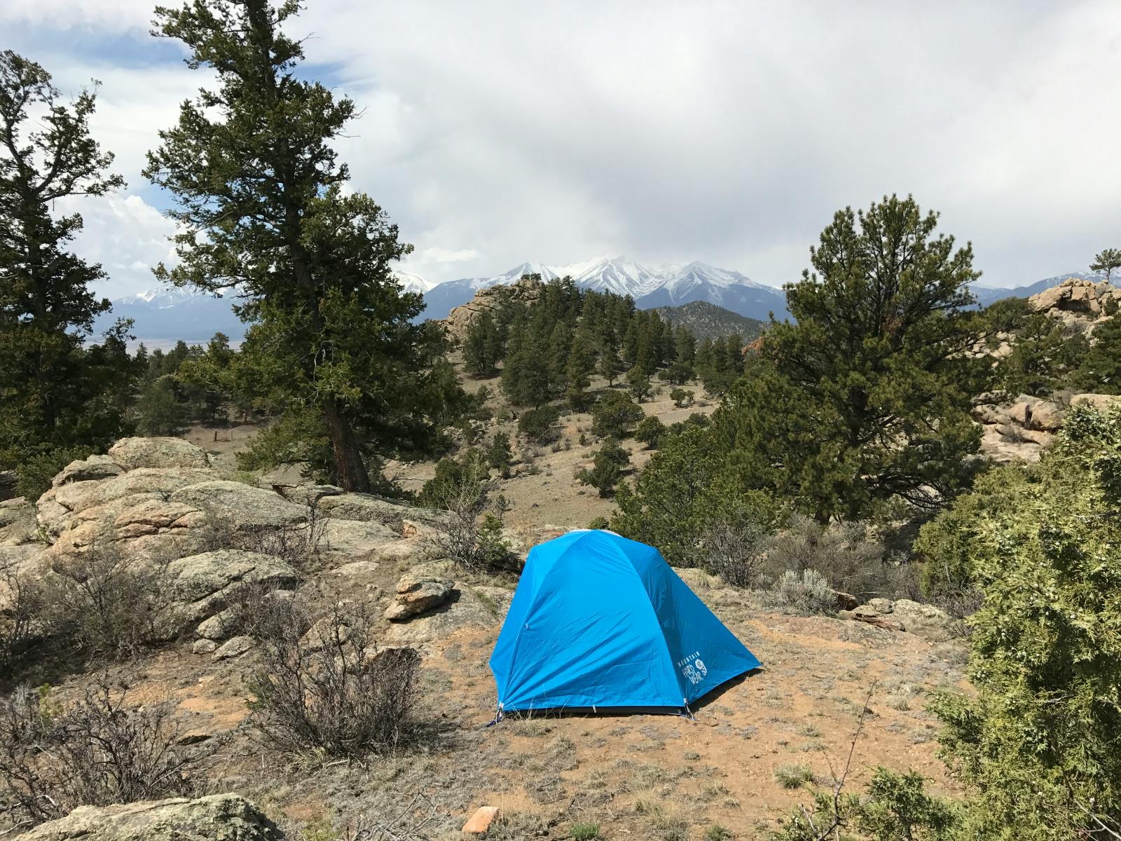 A blue tent on a mountain plateau surrounded by some trees and brush.