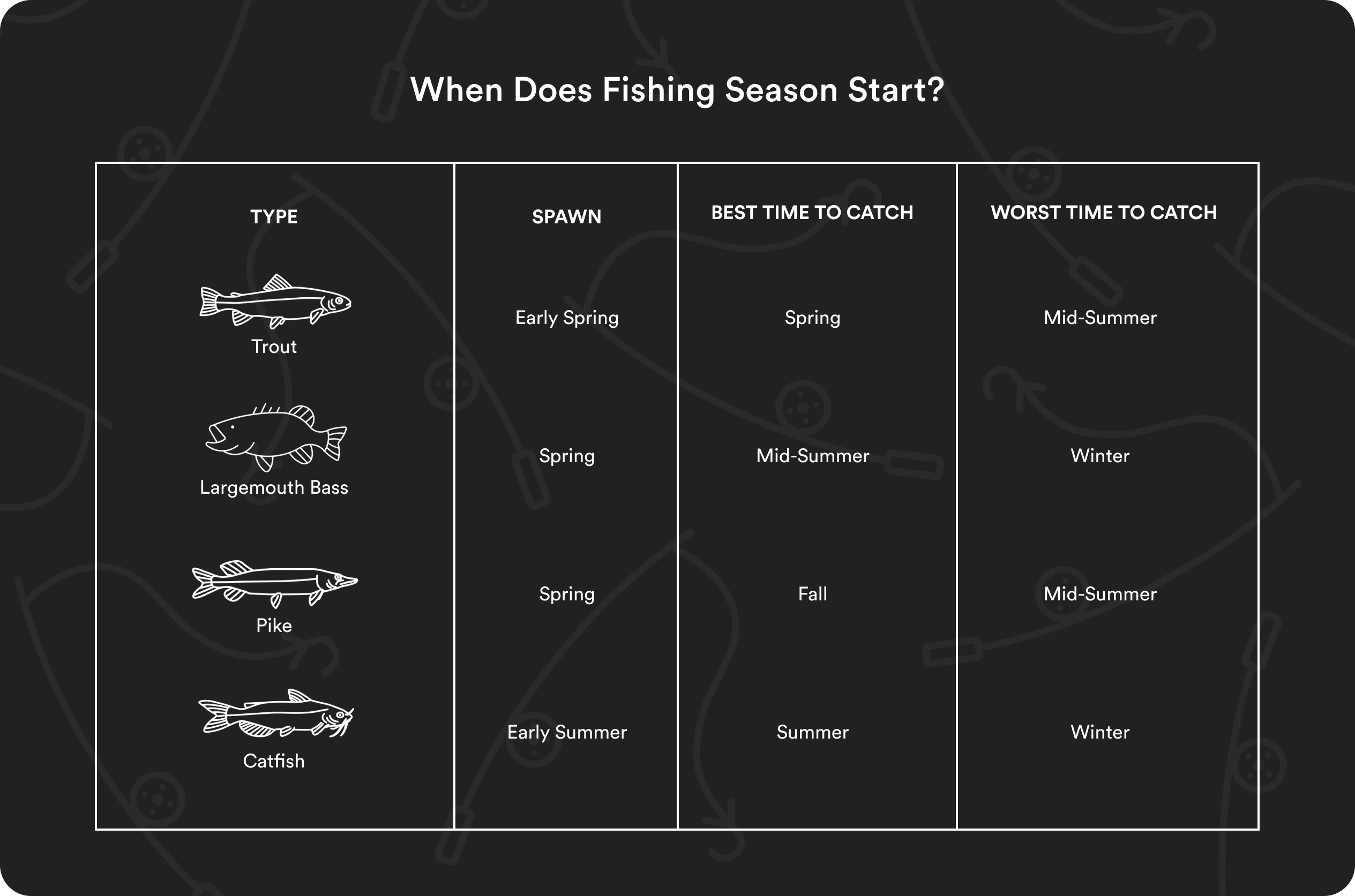 An image that explains the best time to fish for trout, largemouth bass, pike, and catfish.
