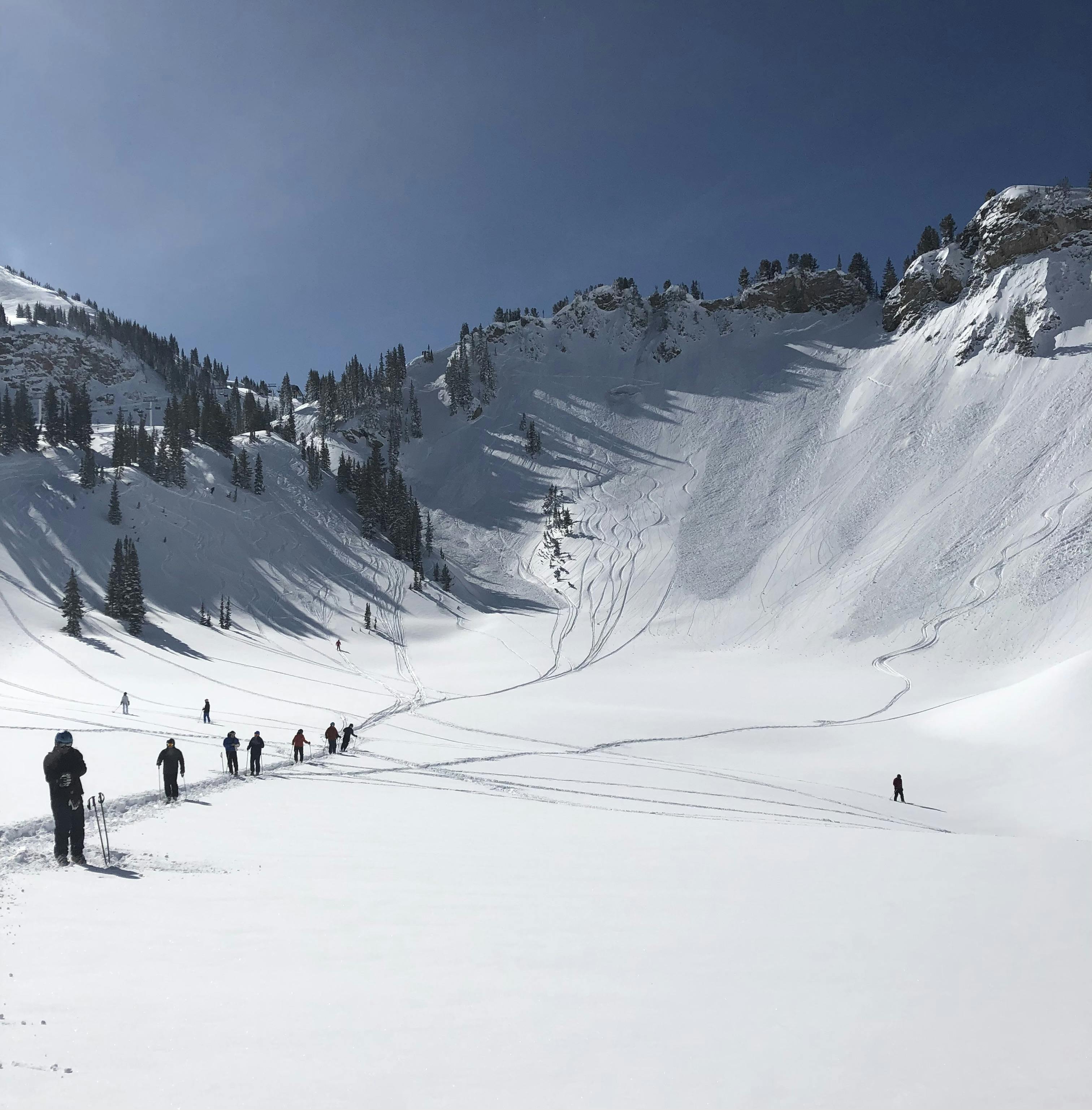 Skiers in a bowl at Alta Ski Area. 