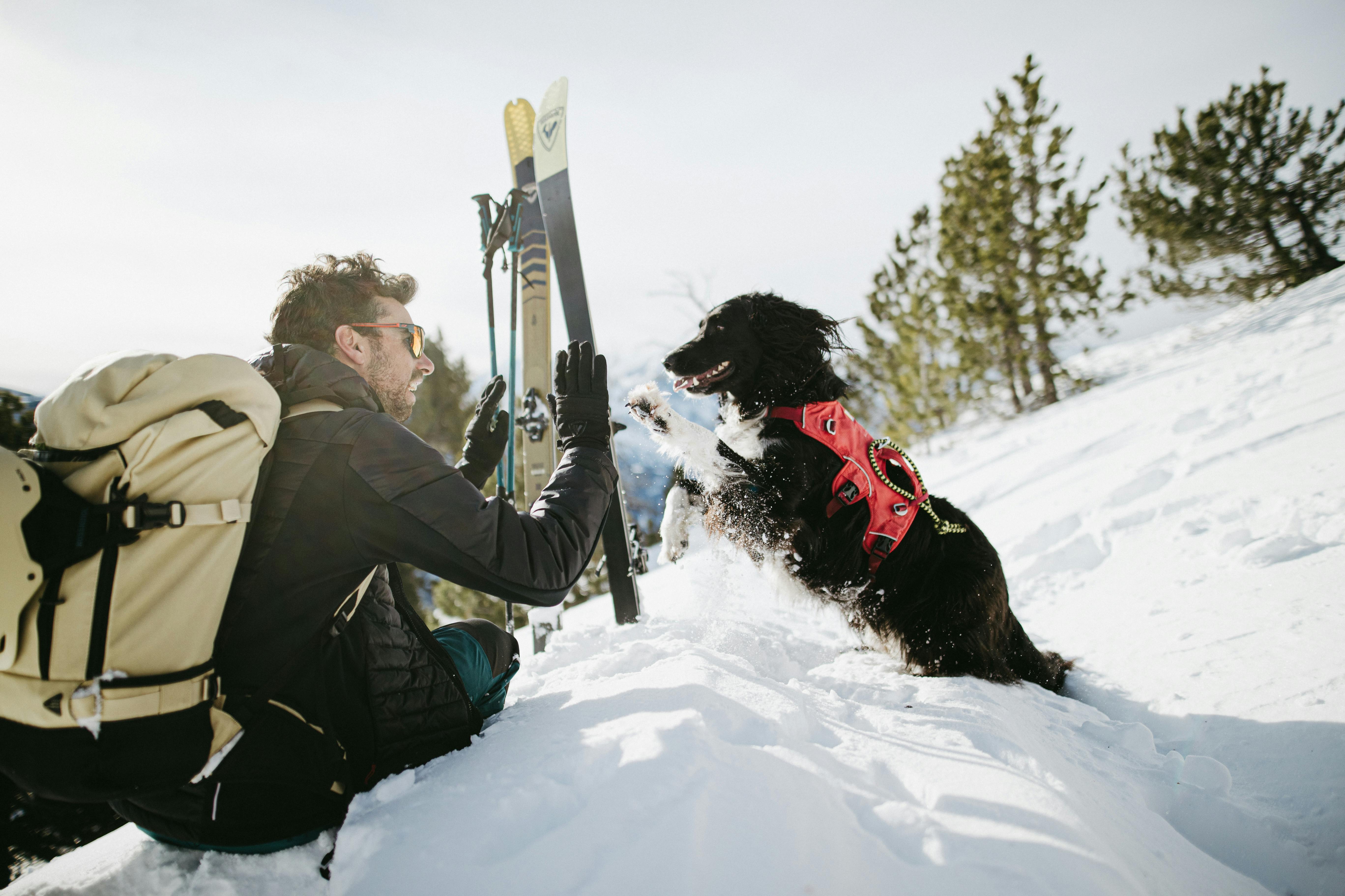 A man sits in the snow next to his skis while wearing a ski backpack. He smiles at a dog that is running to him.