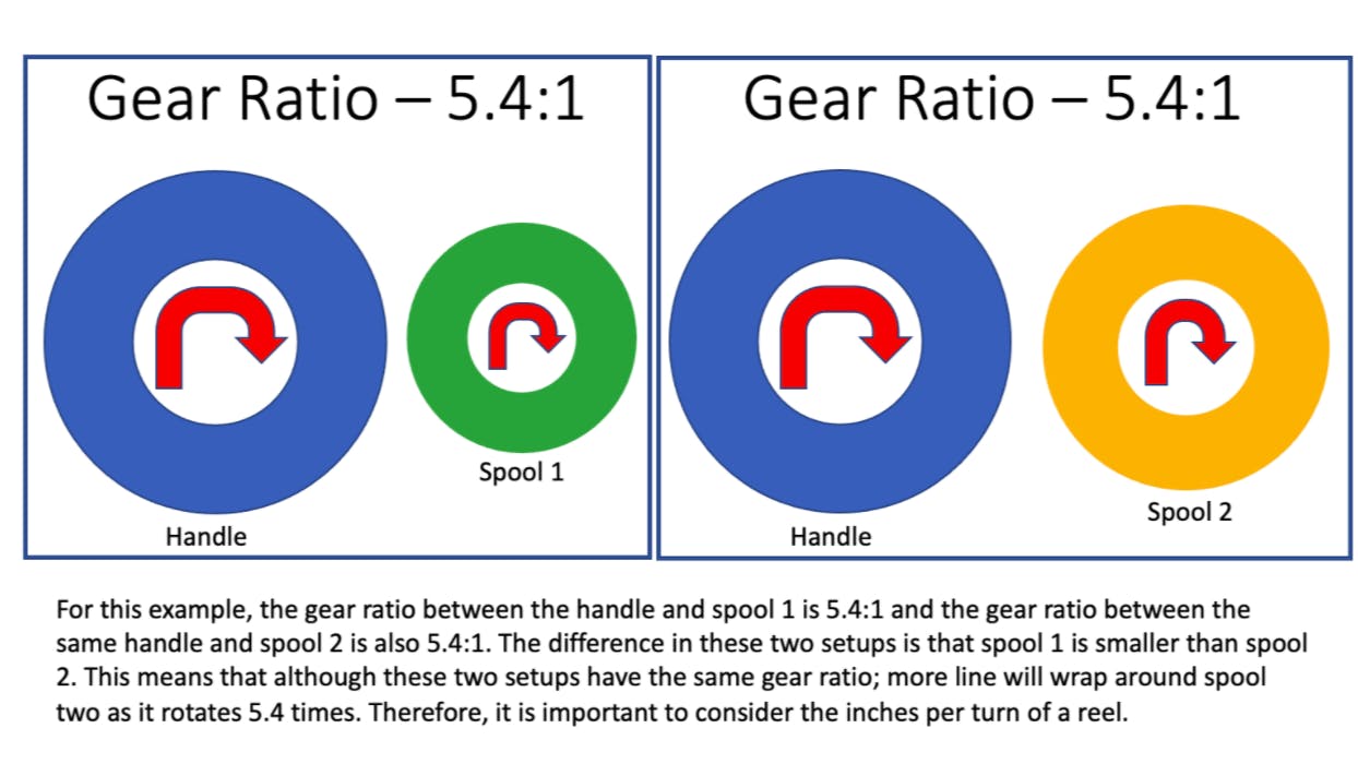 A figure of the gear ratios between two handles and two spools. On the left, the title reads “Gear Ratio — 5.4:1” and below, there are a blue and green circle with red half-turn rotating arrows within them. The blue circle is labeled “Handle” and the smaller, green circle is labeled “Spool 1.” On the right, the title reads “Gear Ratio — 5.4:1” and below, there are a blue and yellow circle with red half-turn rotating arrows within them. The blue circle is labeled “Handle” and the smaller, yellow circle is labeled “Spool 2.” Below, the caption reads, “For this example, the gear ratio between the handle and spool 1 is 5.4:1 and the gear ration between the same handle and spool 2 is also 5.4:1. The difference in these two setups is that spool 1 is smaller than spool 2. This means that although these two setups have the same gear ratio; more line will wrap around spool two as it rotates 5.4 times. Therefore, it is important to consider the inches per turn of a reel.”