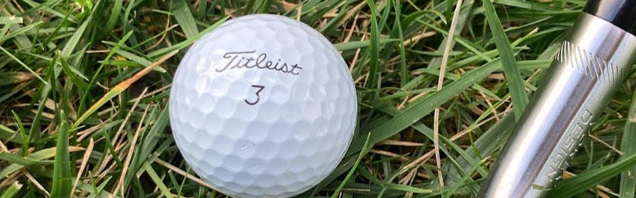 A Titleist Pro V1 Golf Ball in the grass.