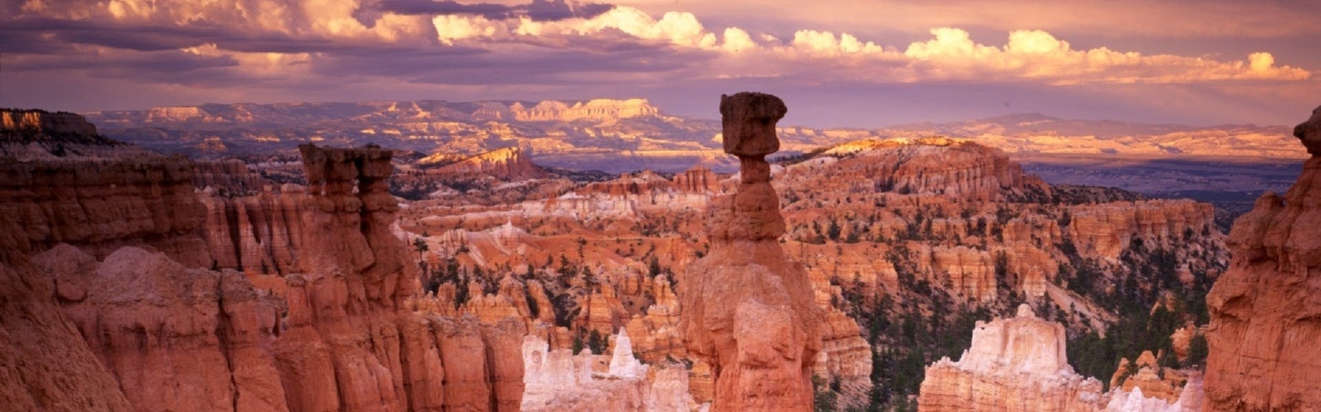 A canyon full of red rock formations