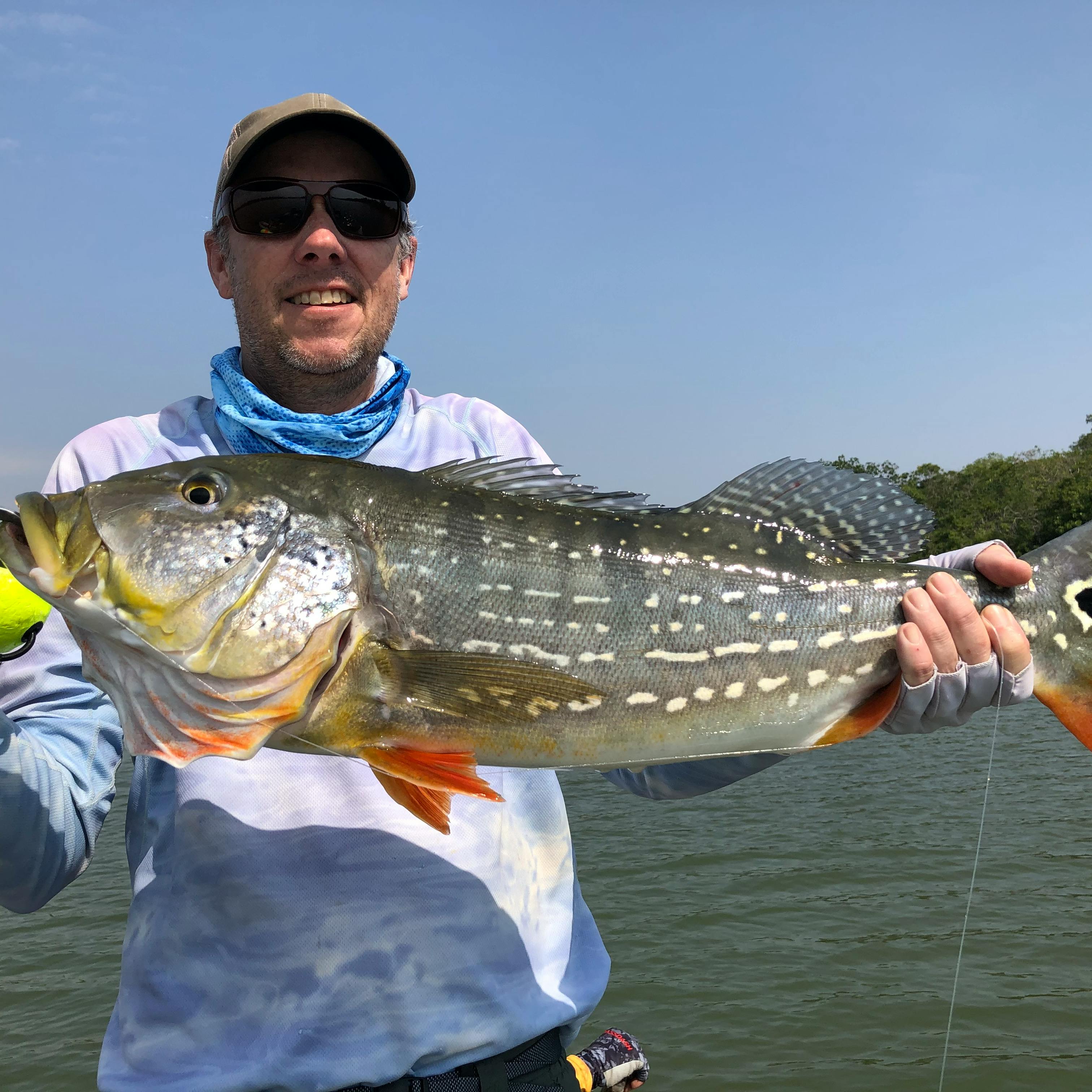 Matching the Hatch, Fly Angler's OnLine World Wide Fishing