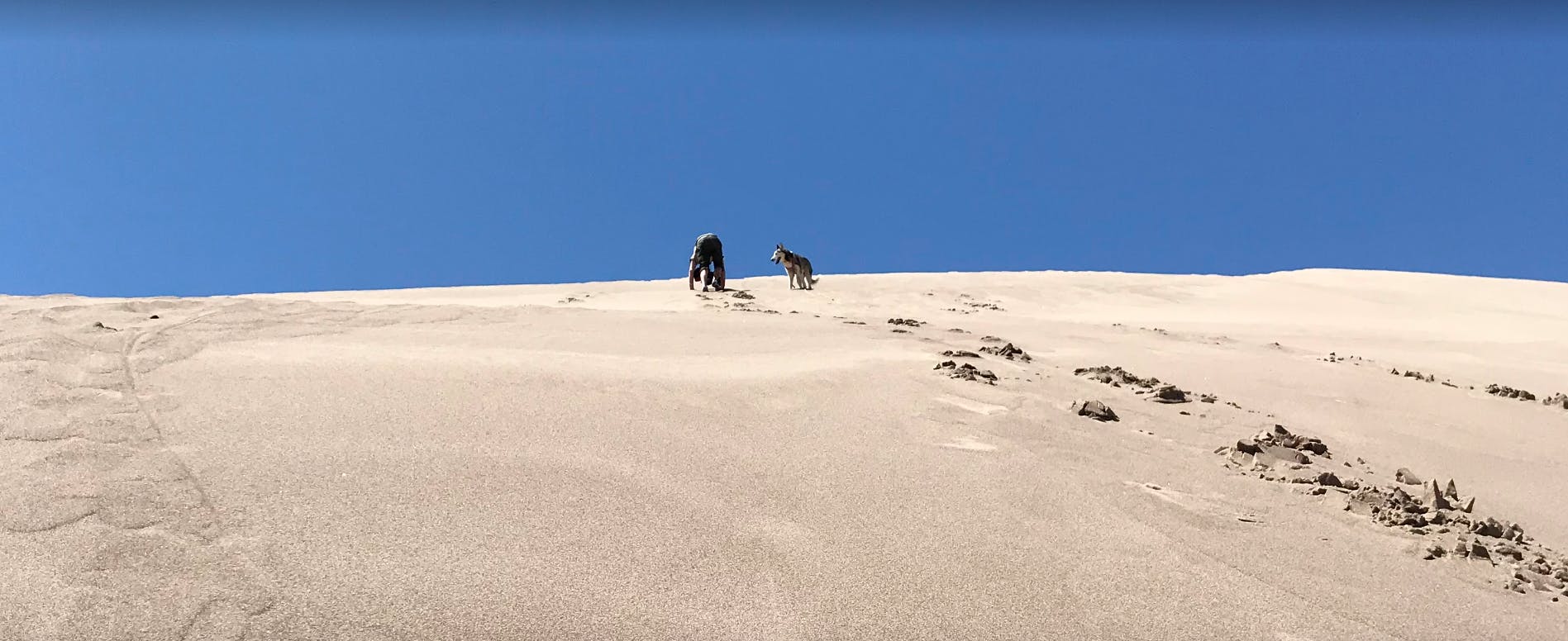 A person and a dog running in Great Sand Dunes National Park. 
