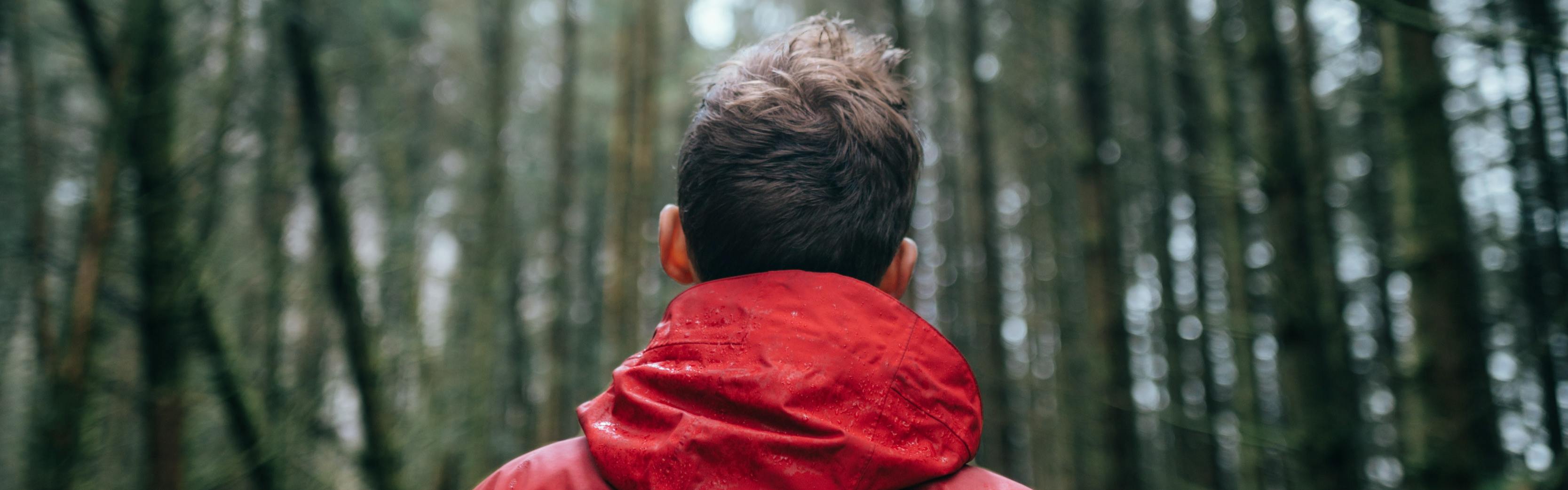 A man with a red jacket faces away from the camera in a forested landscape.