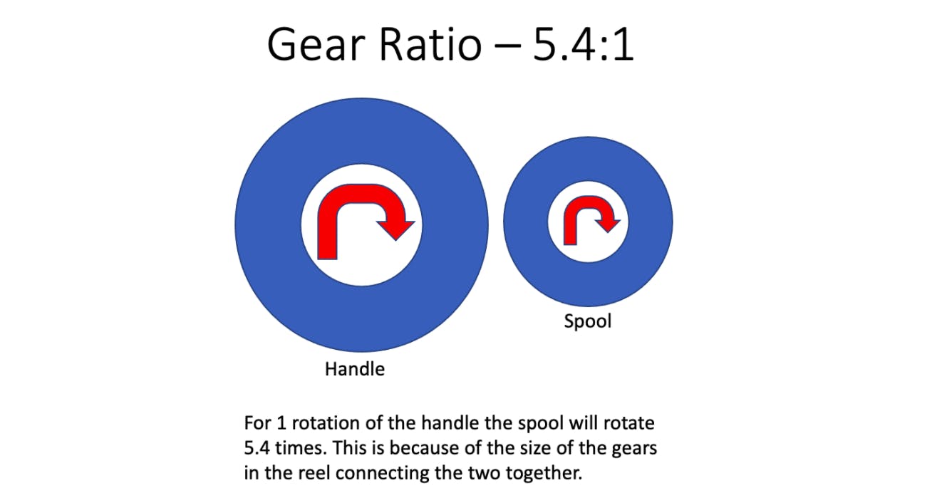 A figure of the gear ratio between the handle and the spool. The title reads “Gear Ratio — 5.4:1” and below, there are two blue circles with red half-turn rotating arrows within them. The bigger circle is labeled “Handle” and the smaller one is labeled “Spool.” Below, the caption reads, “For 1 rotation of the handle the spool will rotate 5.4 times. This is because of the size of the gears in the reel connecting the two together.”